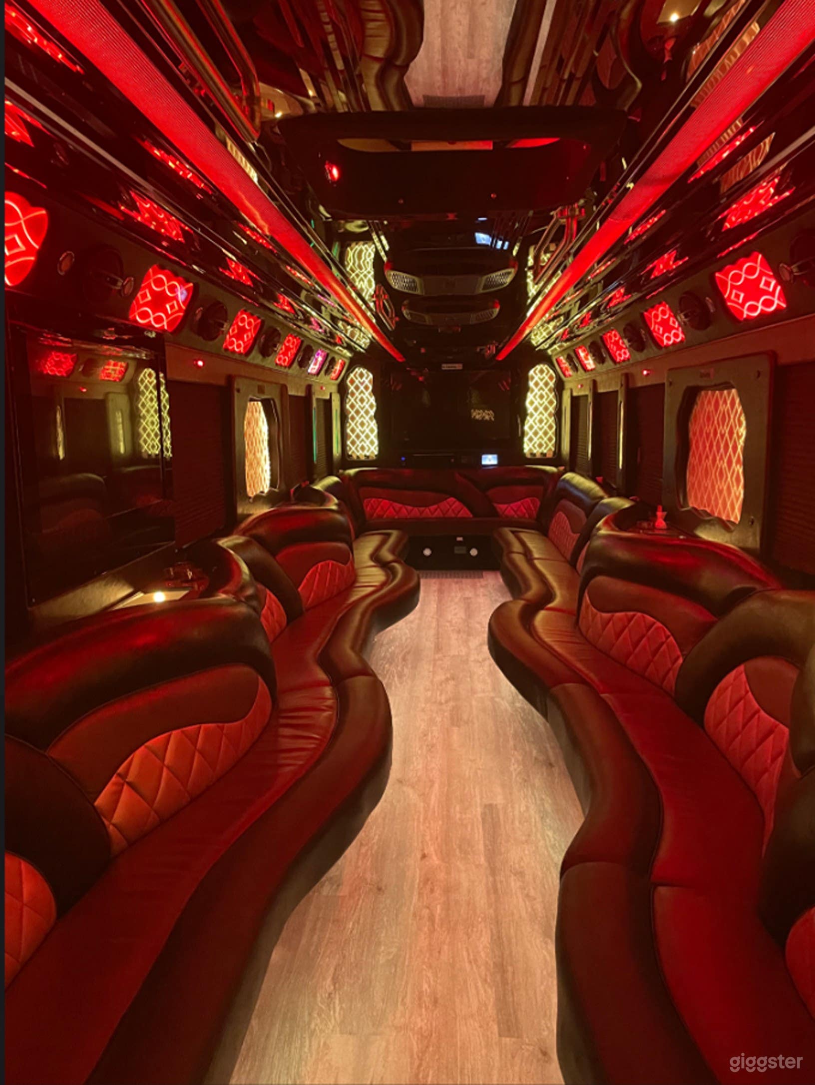 47-50 Passenger Luxury Party Bus Photo 4