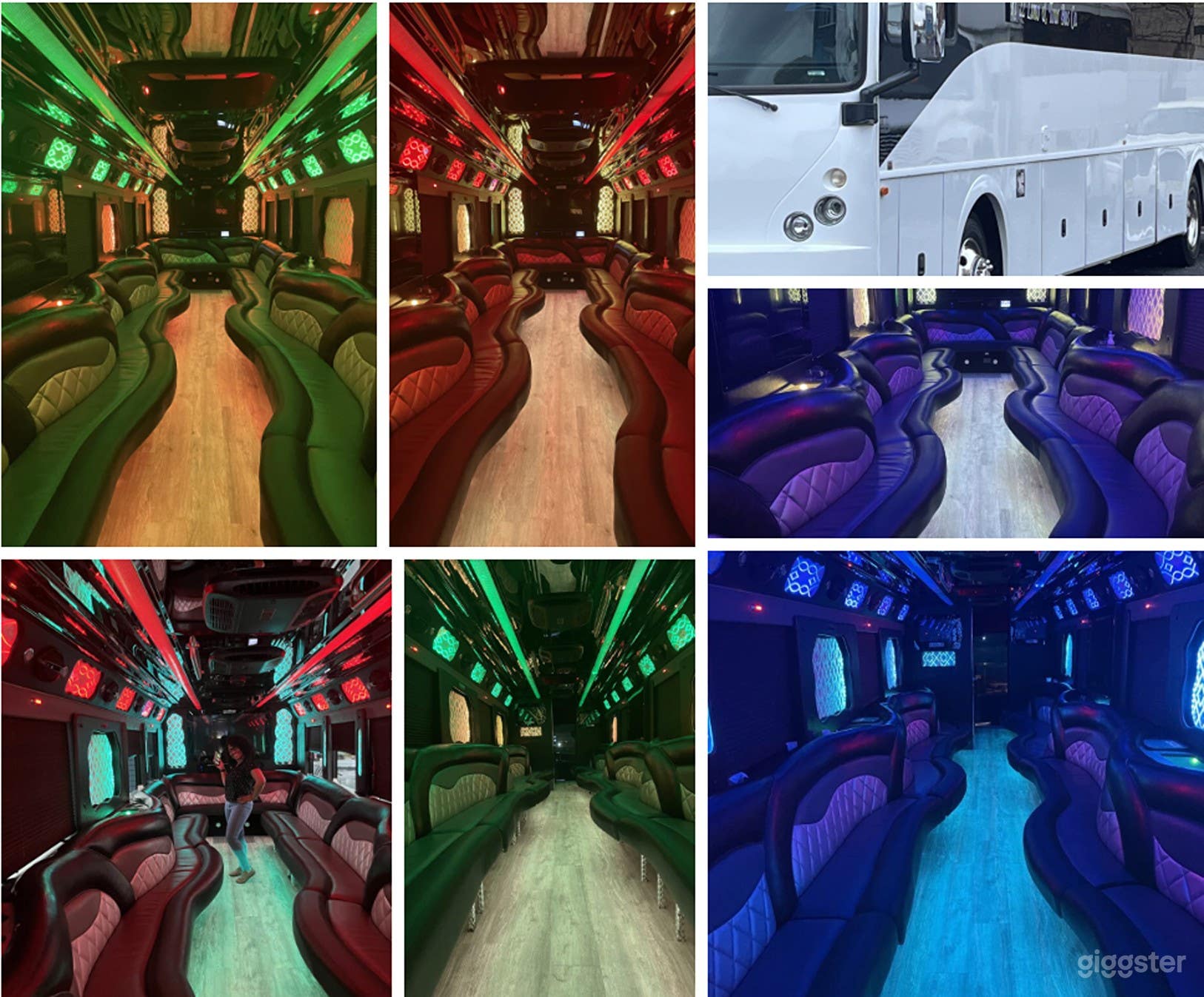 47-50 Passenger Luxury Party Bus Photo 1