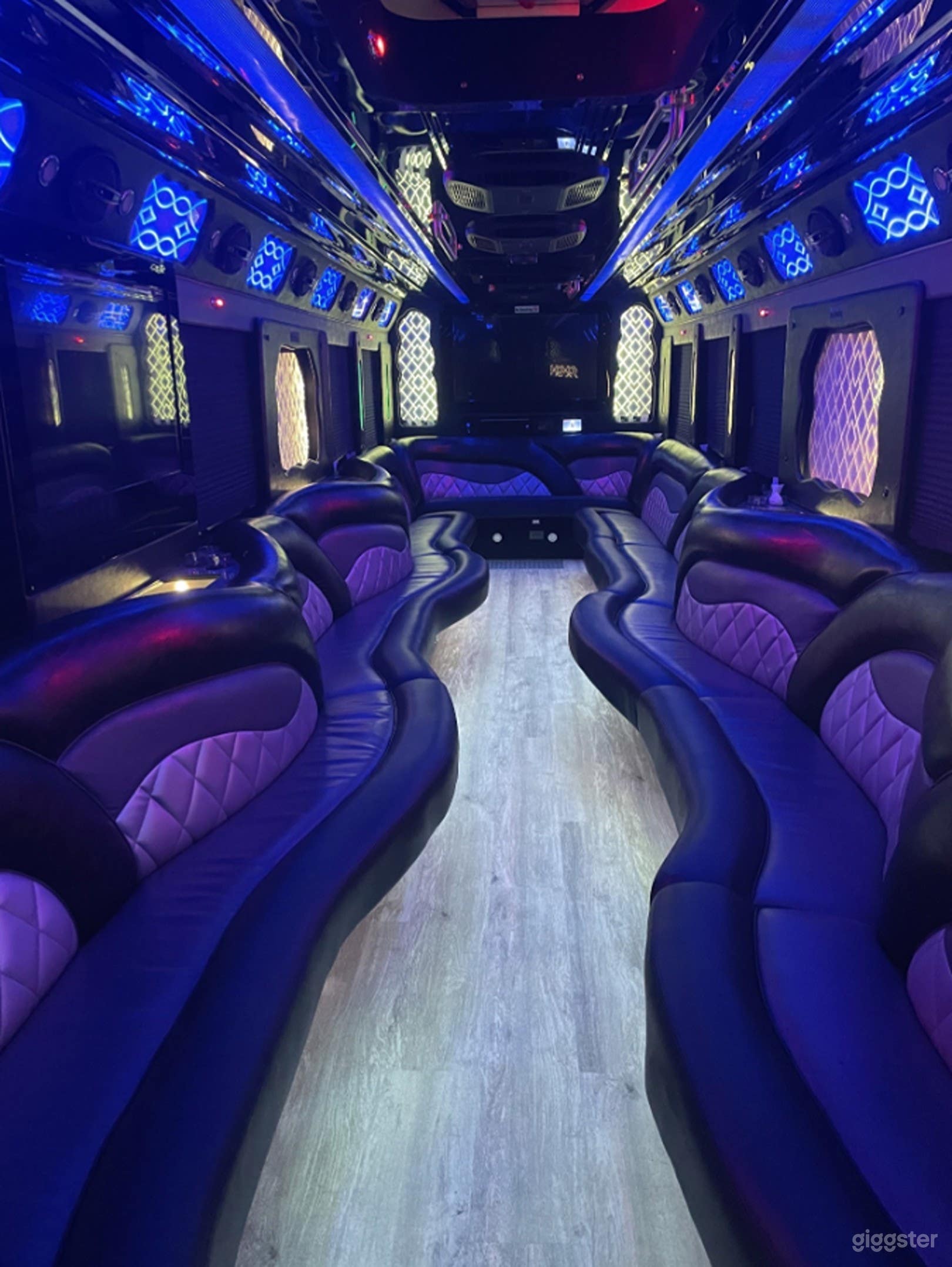 47-50 Passenger Luxury Party Bus Photo 3