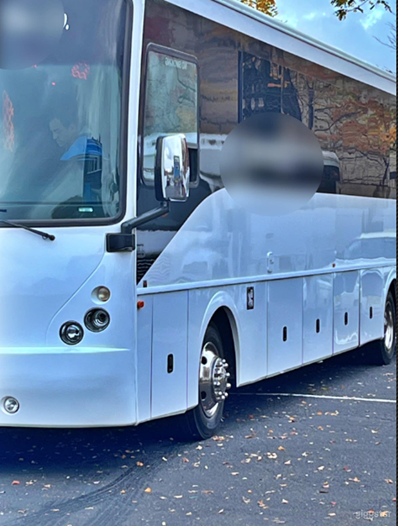 47-50 Passenger Luxury Party Bus Photo 2