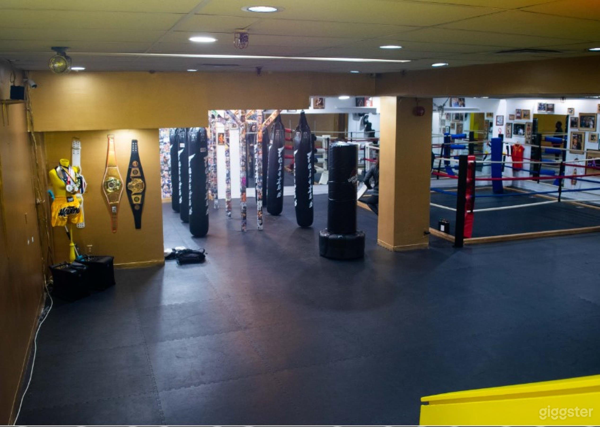 Complete Set Up Private Boxing Gym In Toronto Photo 1