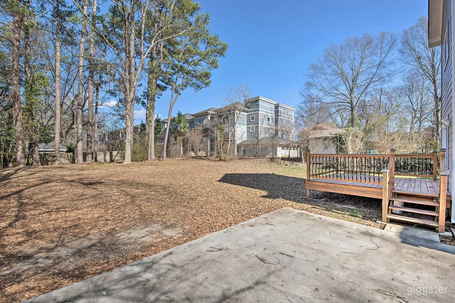 Backyard Open Lot Photo 3