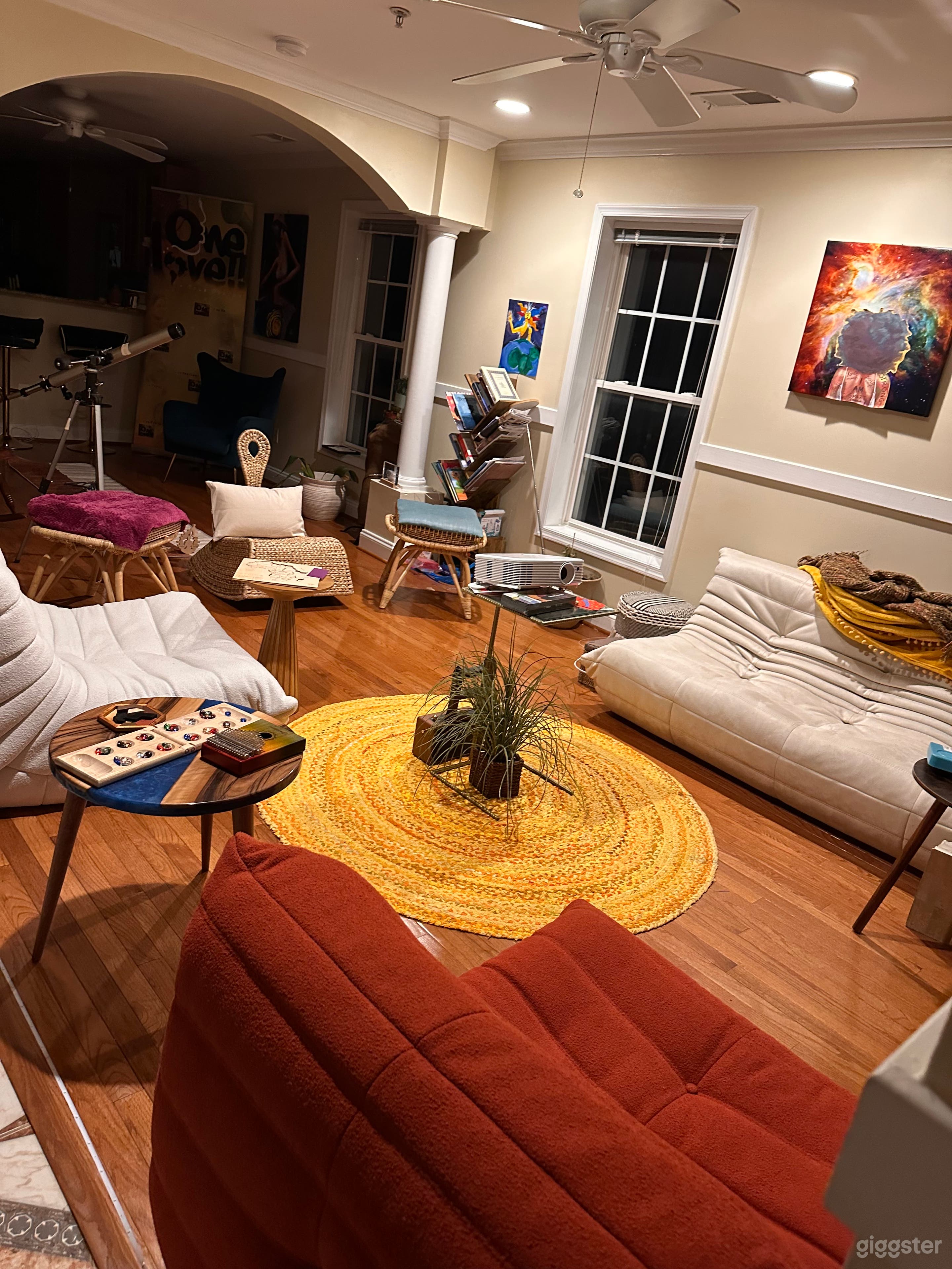 Large Vibey, Common Areas in Historic D.C. for Sma Photo 2