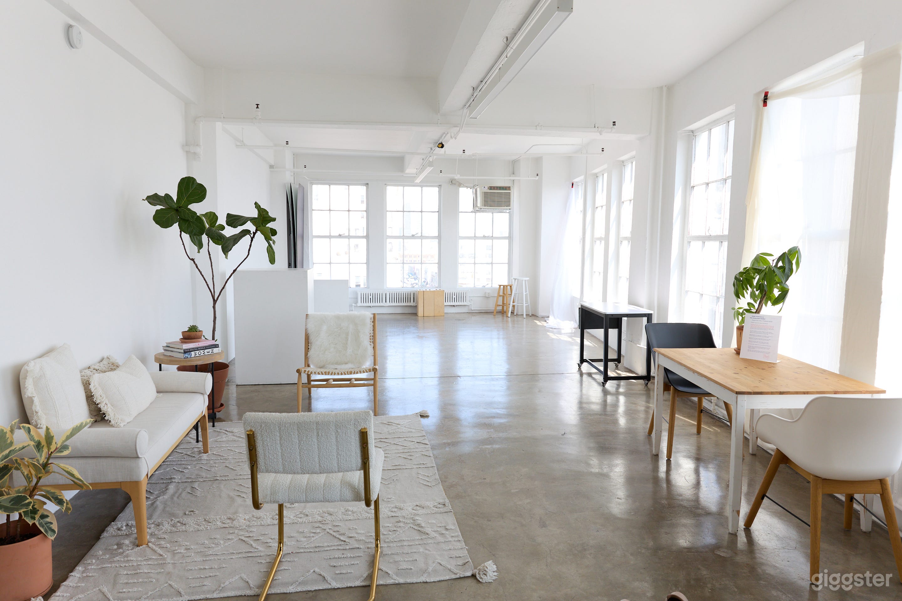 Current view, Spring 2024, Afternoon light. 