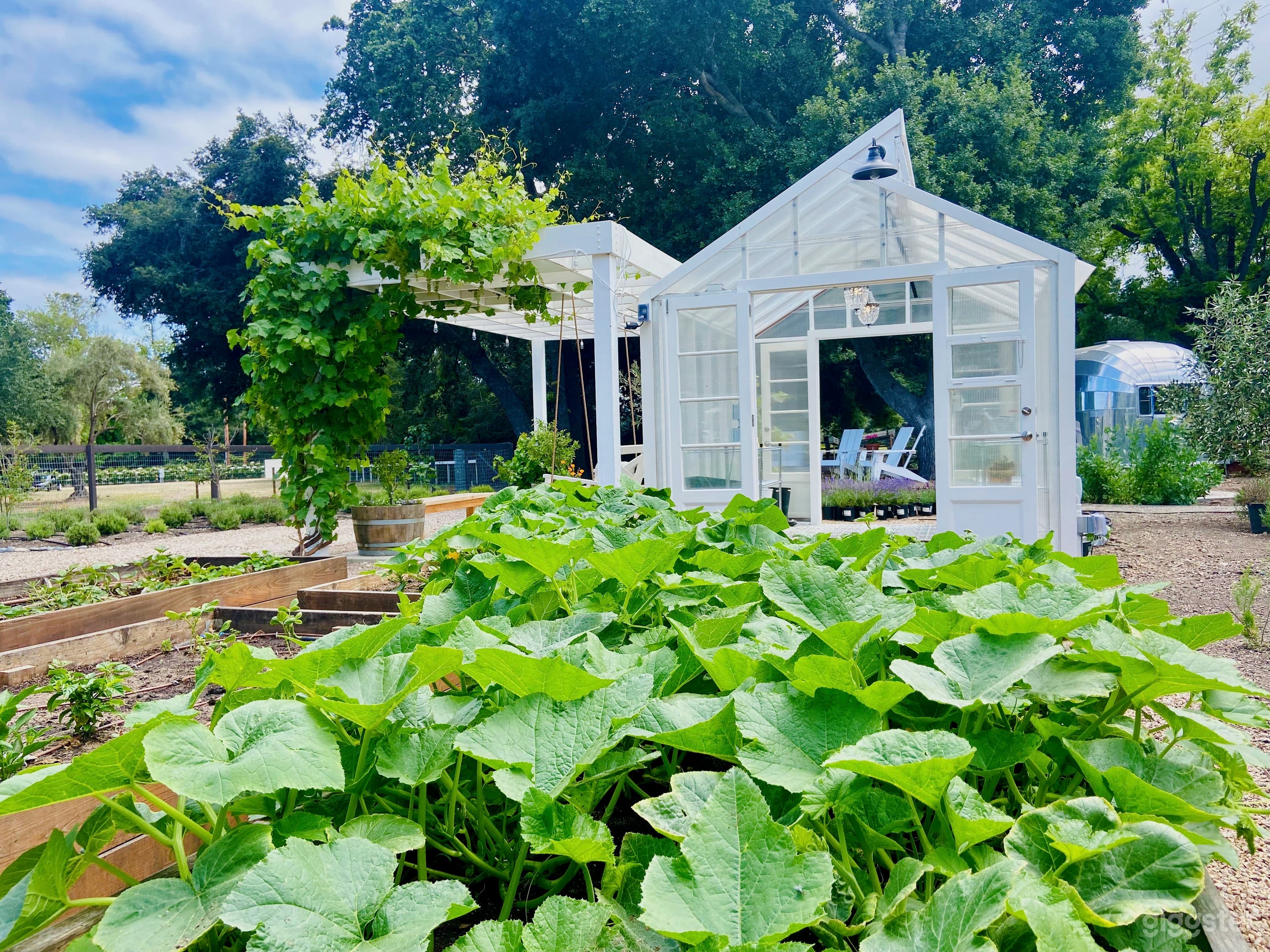 Lusciously green farm with garden + greenhouse