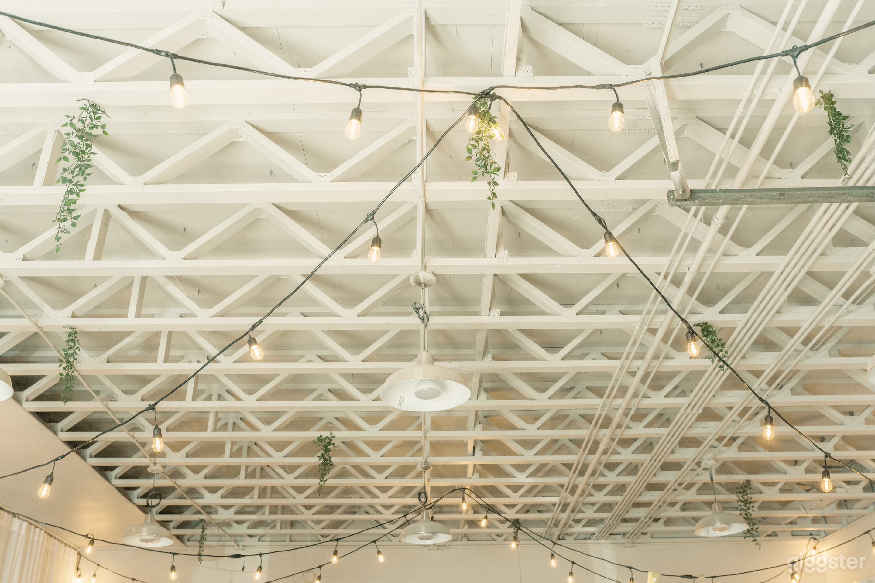 Our ceilings and lights. Additional add ons available to add dreamy drapes going across.