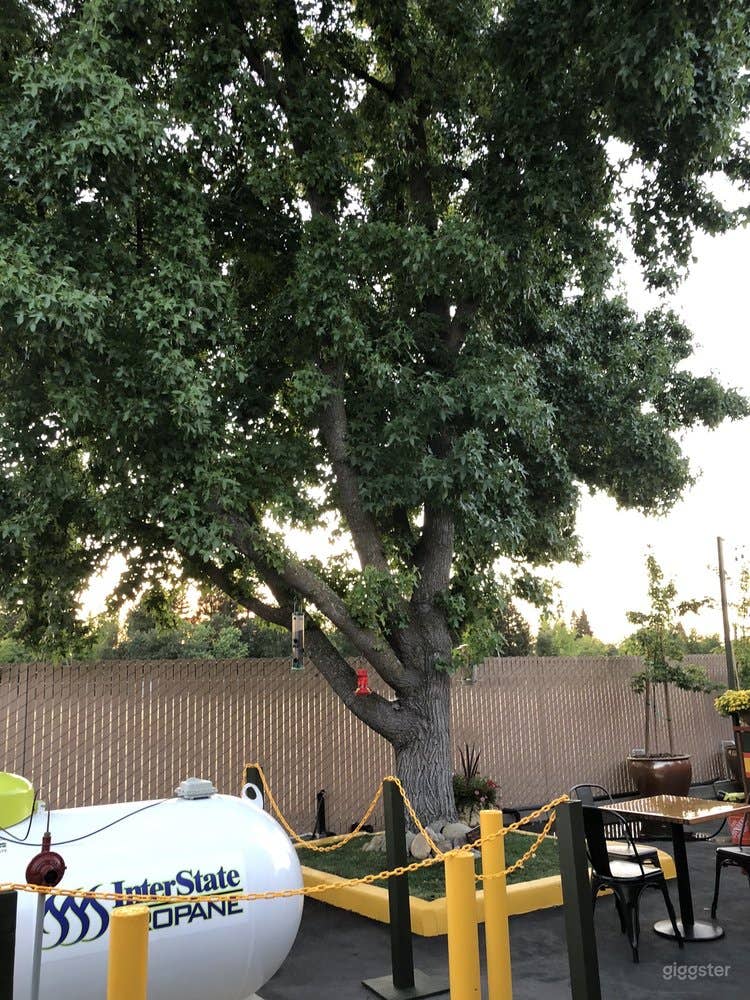 Panoramic Brewery Patio in Rancho Cordova Photo 3