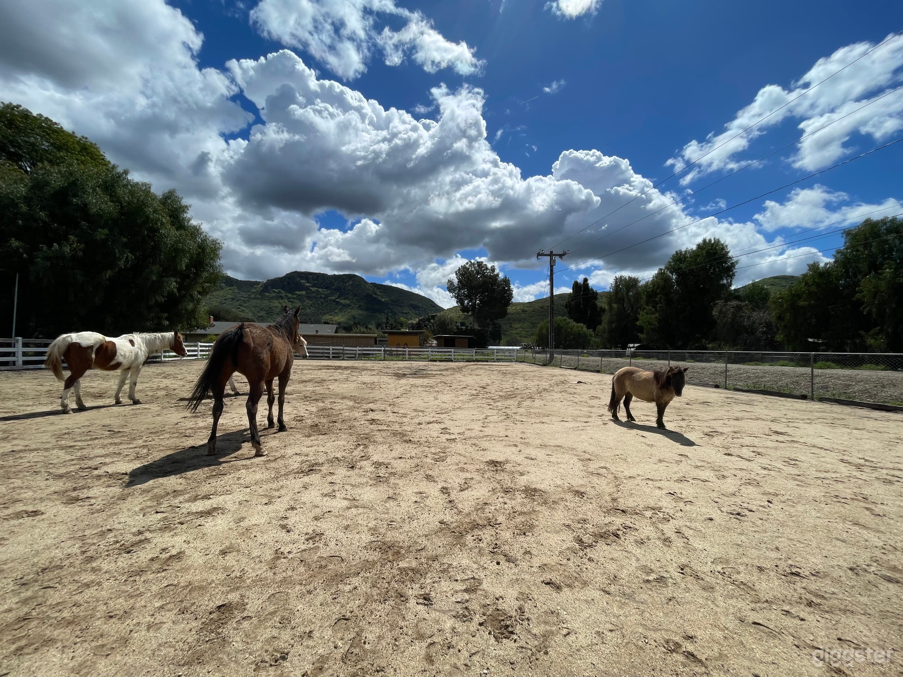 Therapeutic Ranch With Animals in Moorpark Photo 1