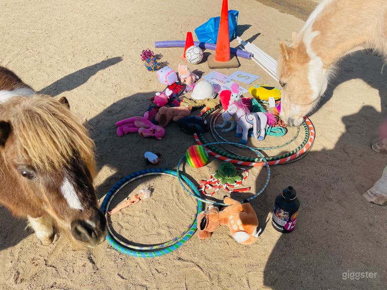  Therapeutic Ranch With Animals in Moorpark 