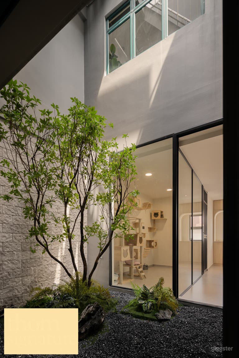  Creative Film & Photo Space Singapore | Bright Natural Light 