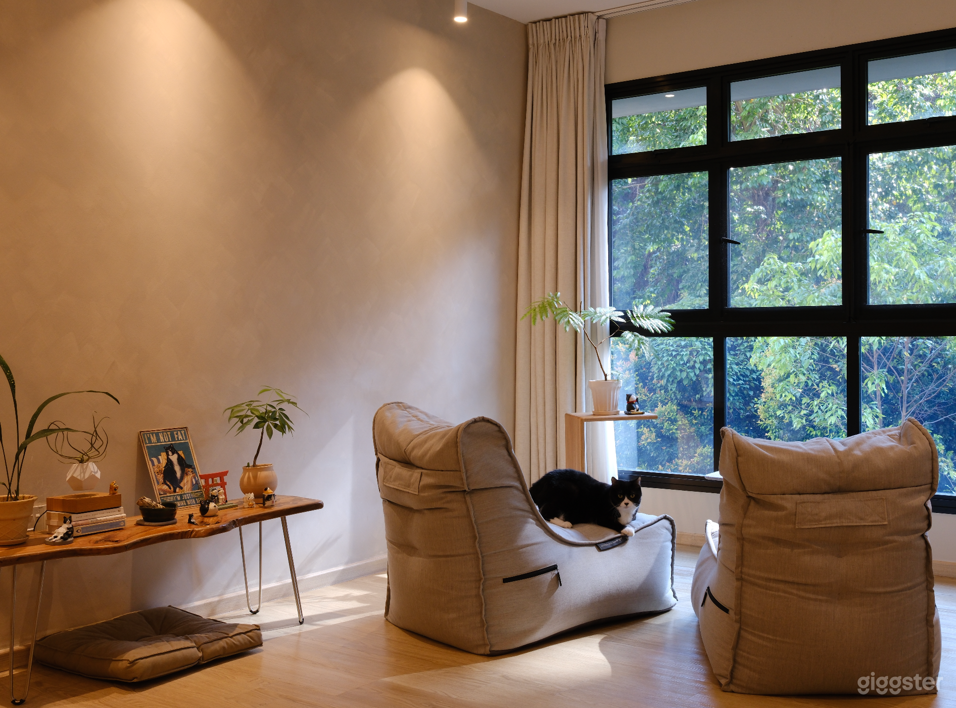 Wabi sabi home cafe warm minimalism with flexi living room Photo 3