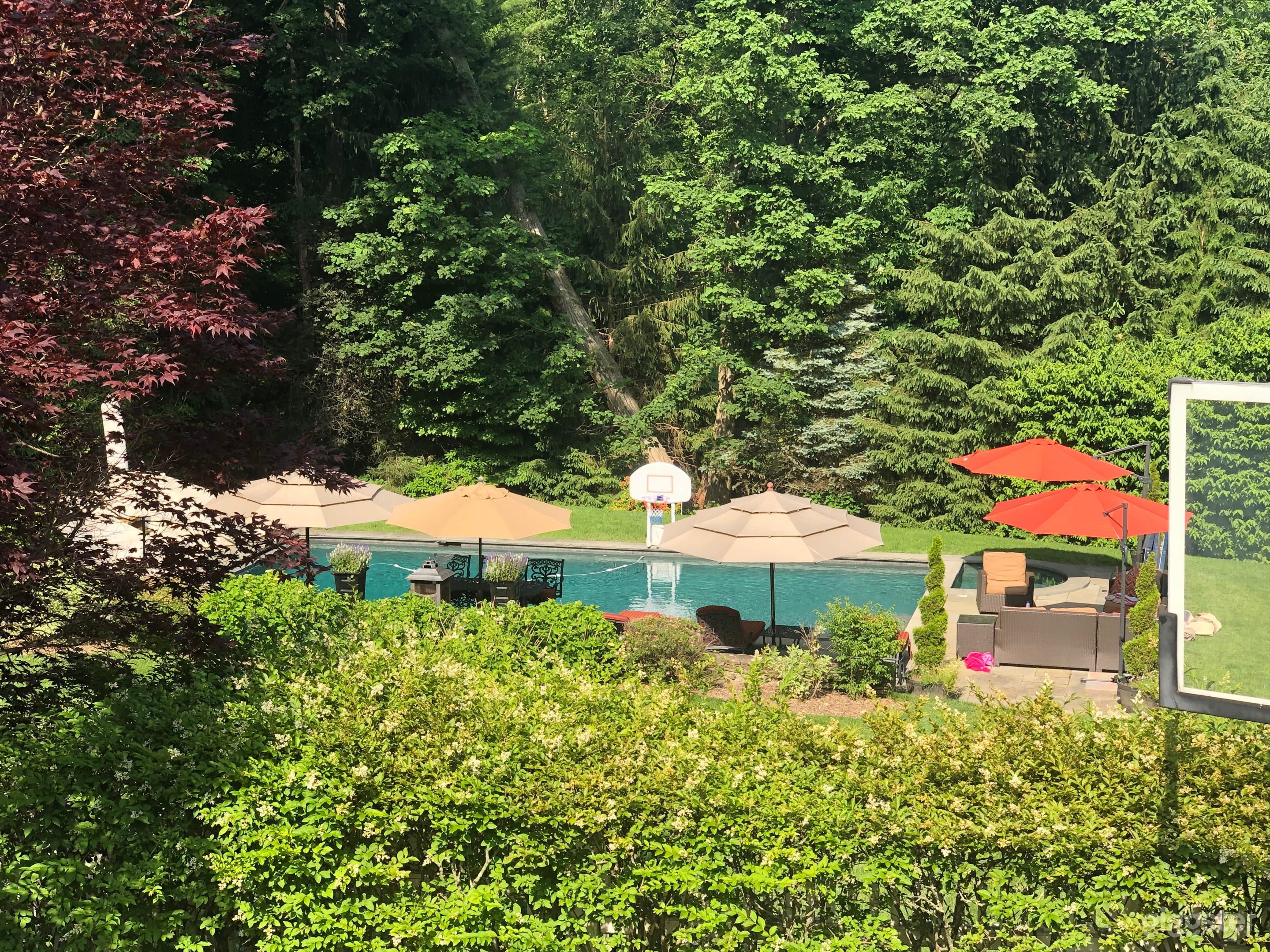 Beautiful Chappaqua home with pool Photo 2