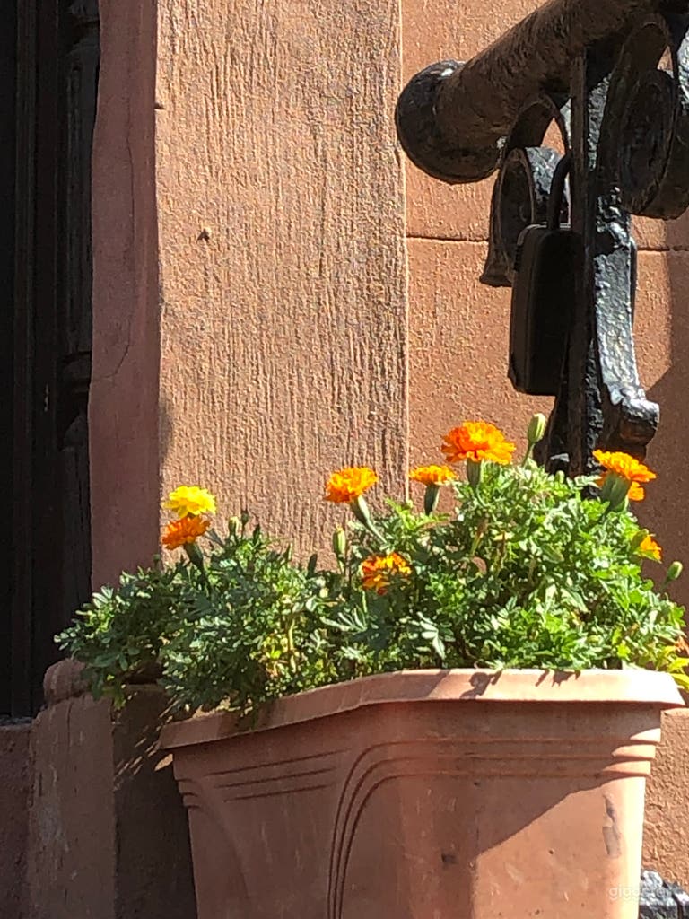  front patio 