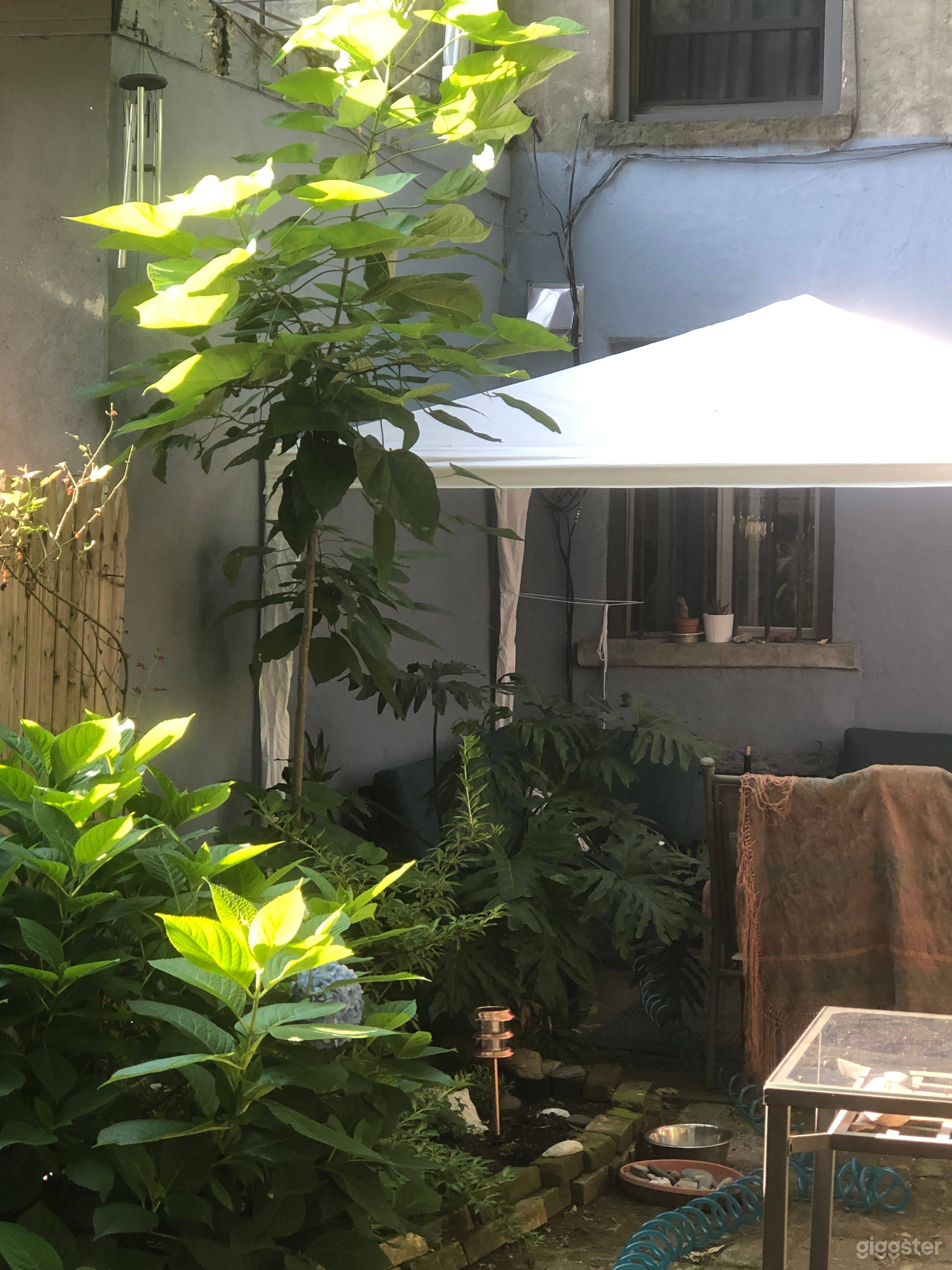 backyard area
