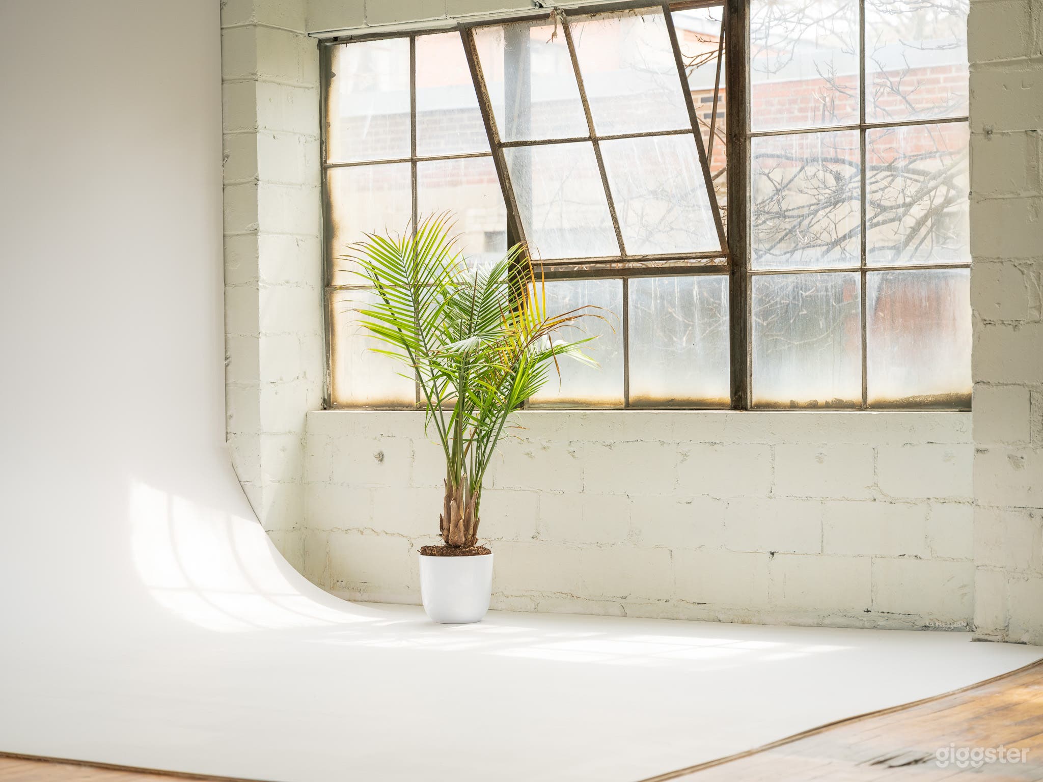 *NEW* Sunlit Industrial Loft with Modern Lounge Setup Photo 4