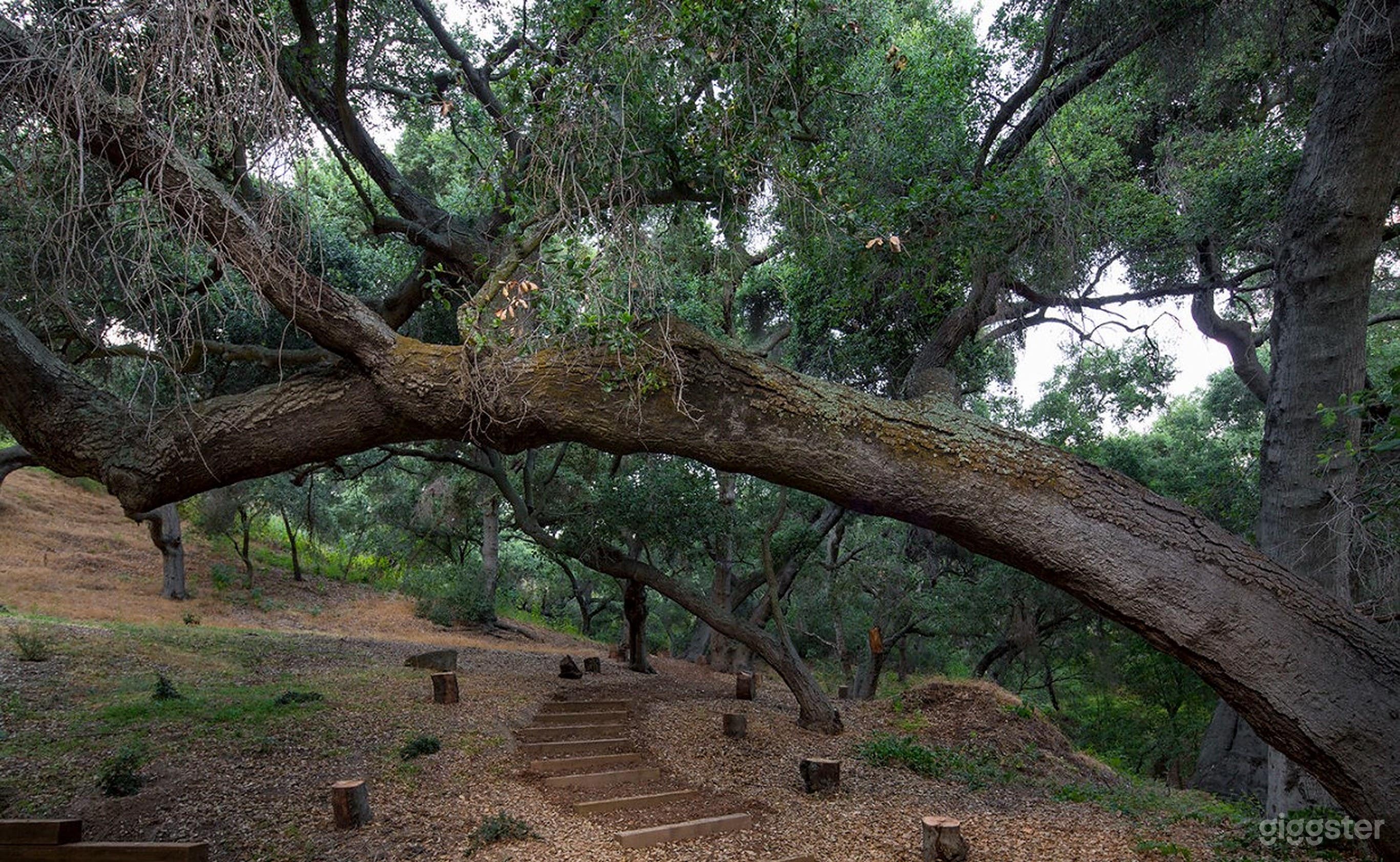 Outdoor Retreat-Your Glamping Getaway  Photo 3