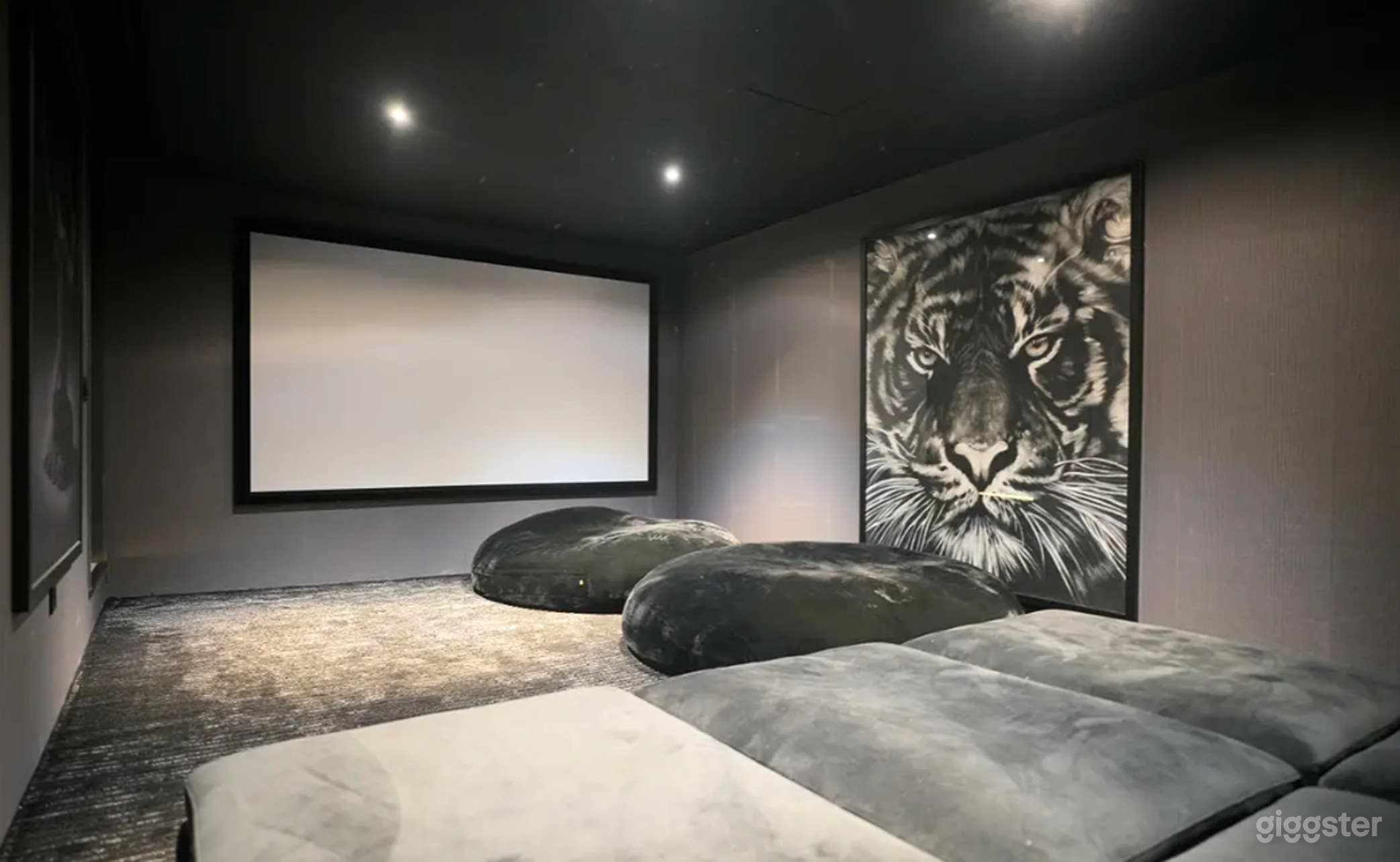 Elegant Home with Private Movie Theater- House only Photo 3