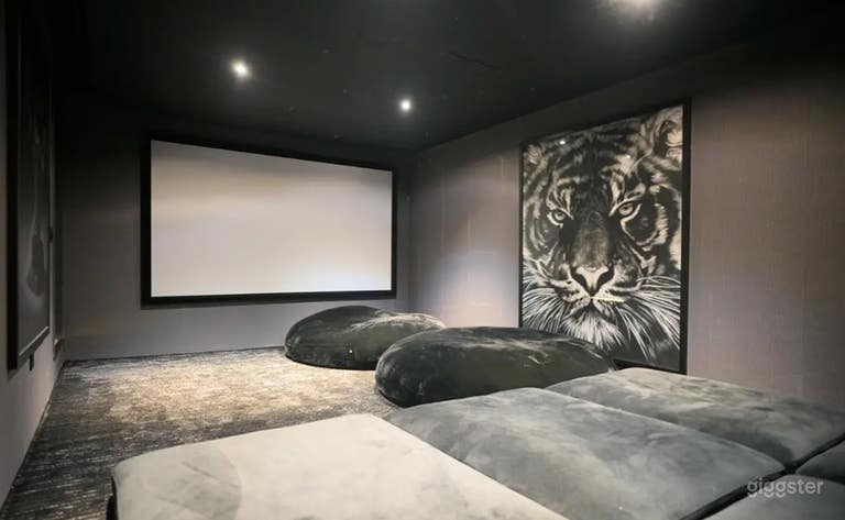  Elegant Home with Private Movie Theater- House only 