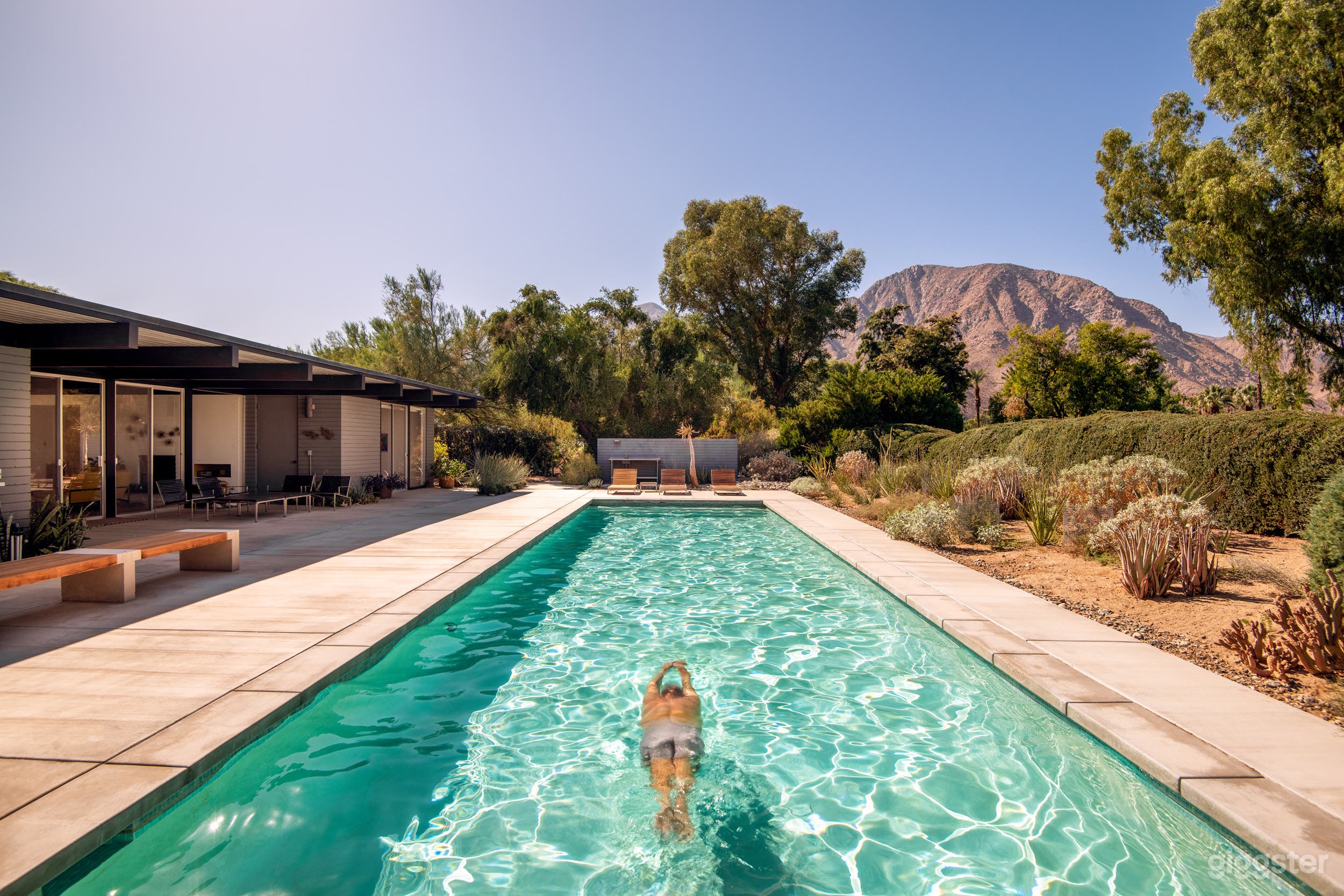 The Milky Way Mid-Century Modern Desert Retreat  Photo 4