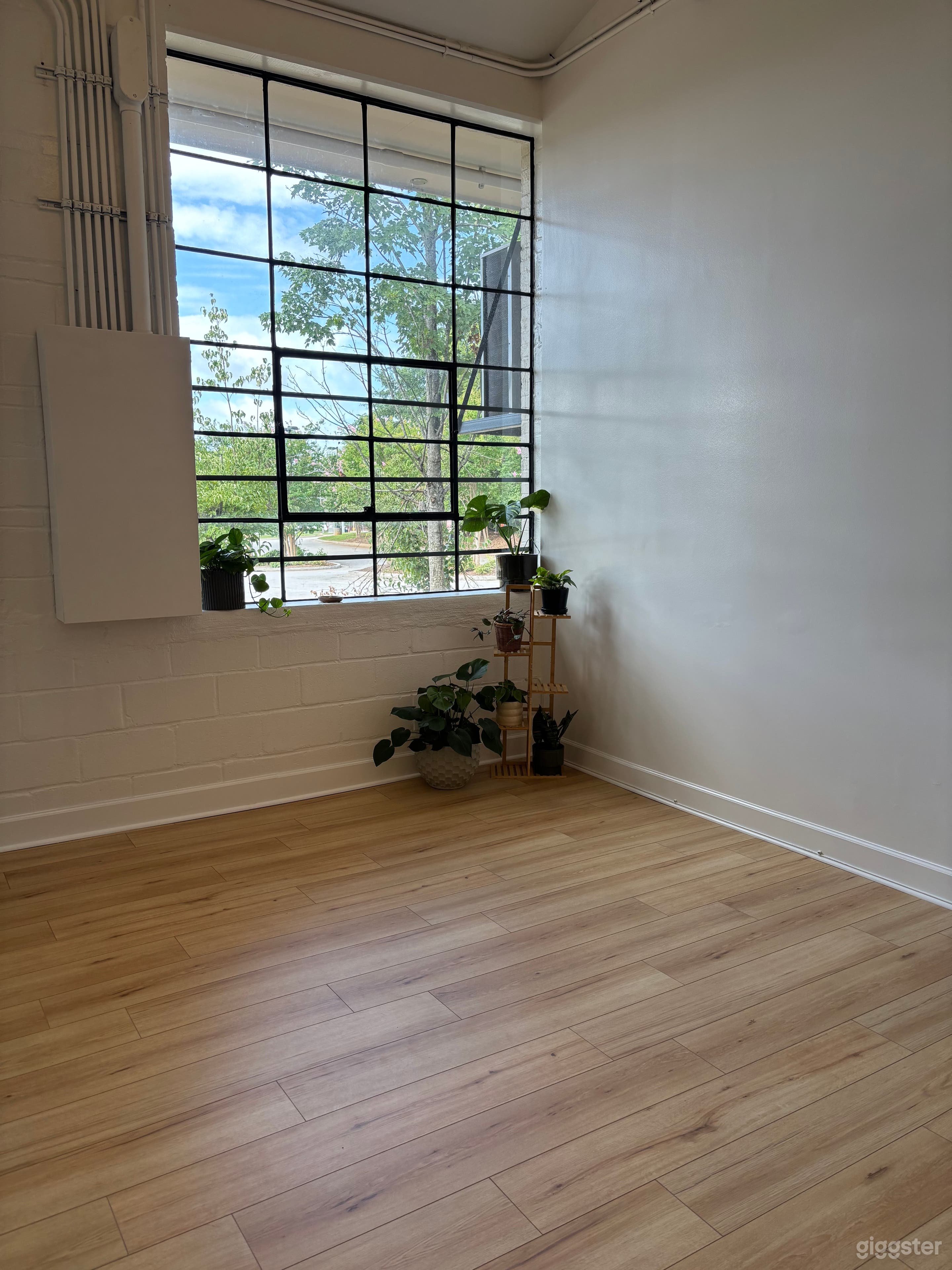 Spacious, Light-filled Yoga Studio Photo 1