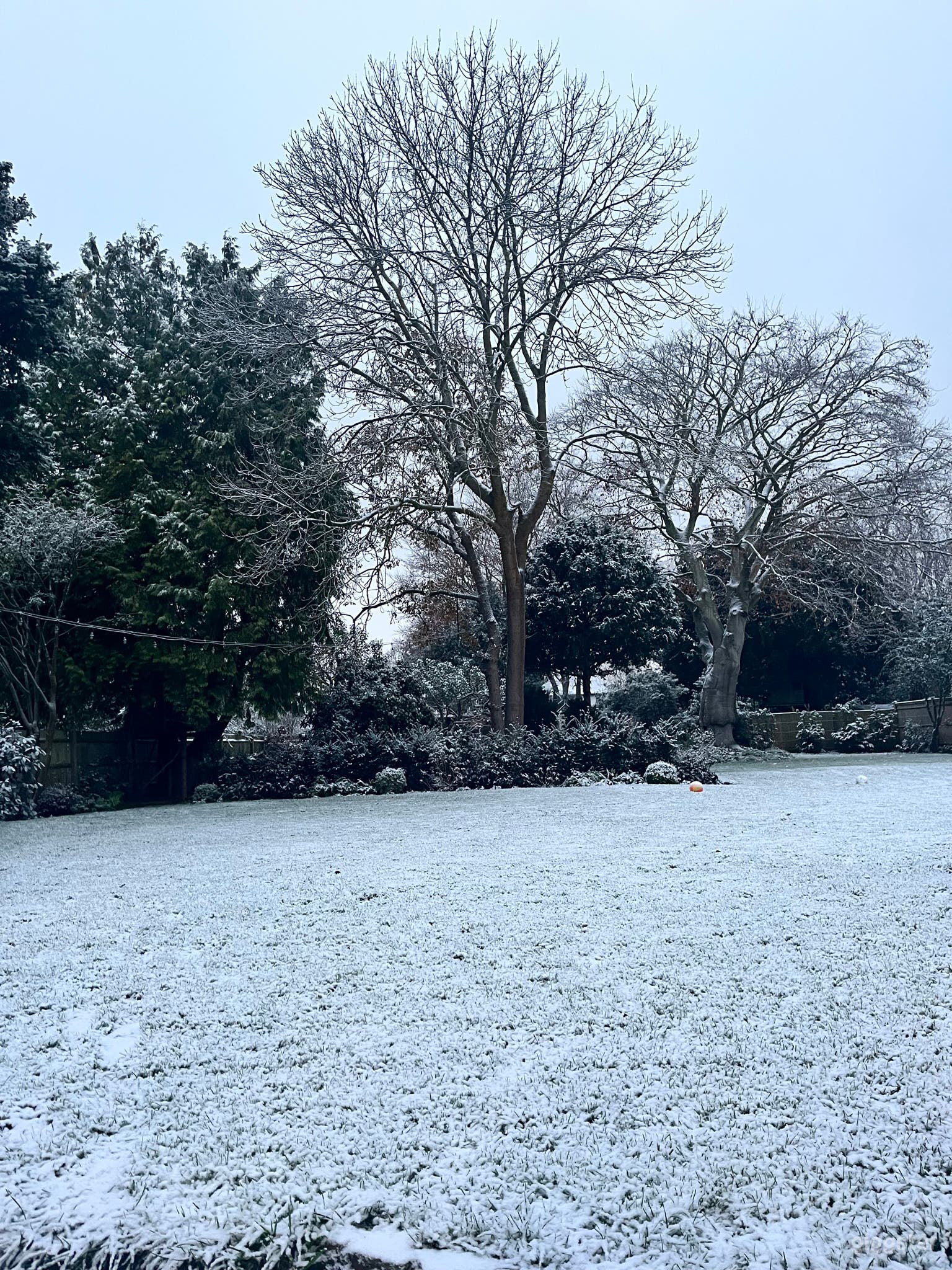 Large well maintained garden Photo 1