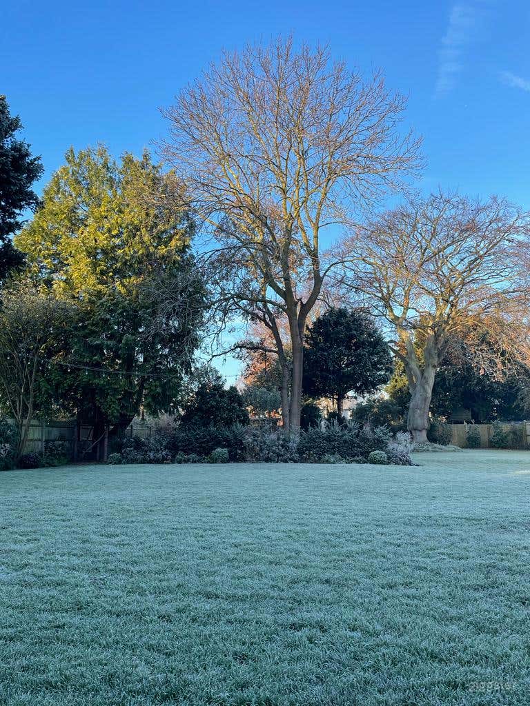 Large well maintained garden Photo 3