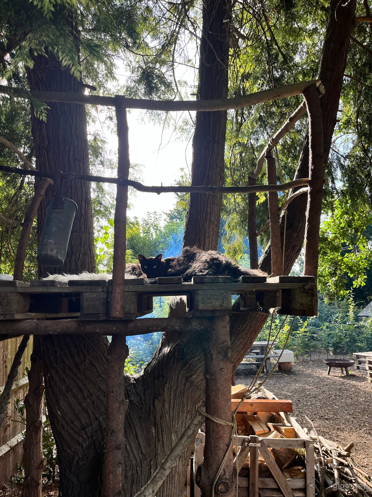 Large well maintained garden Photo 4