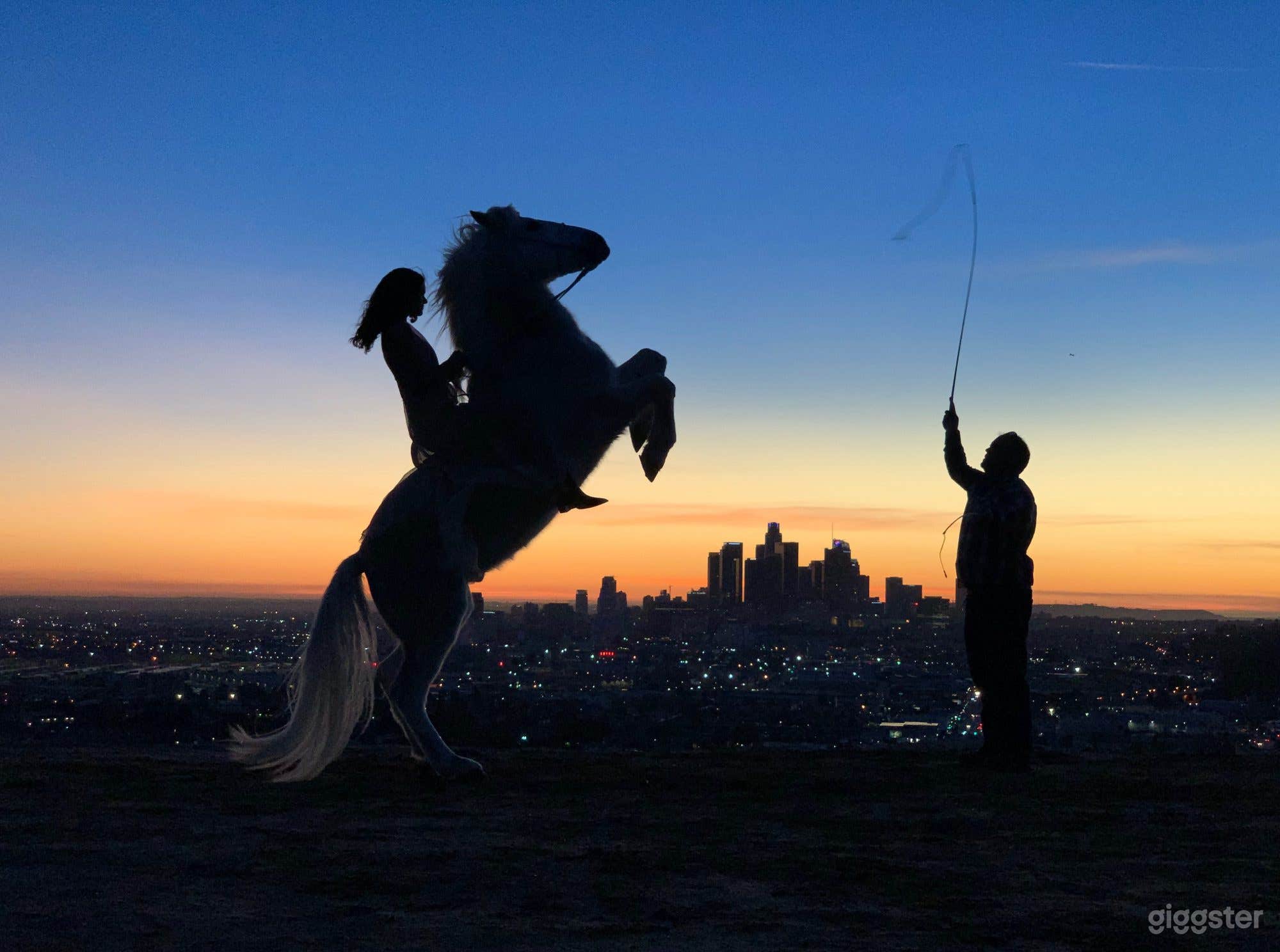 View of DTLA from Glass Mountain. Flattened land at the precipice of hill. 
