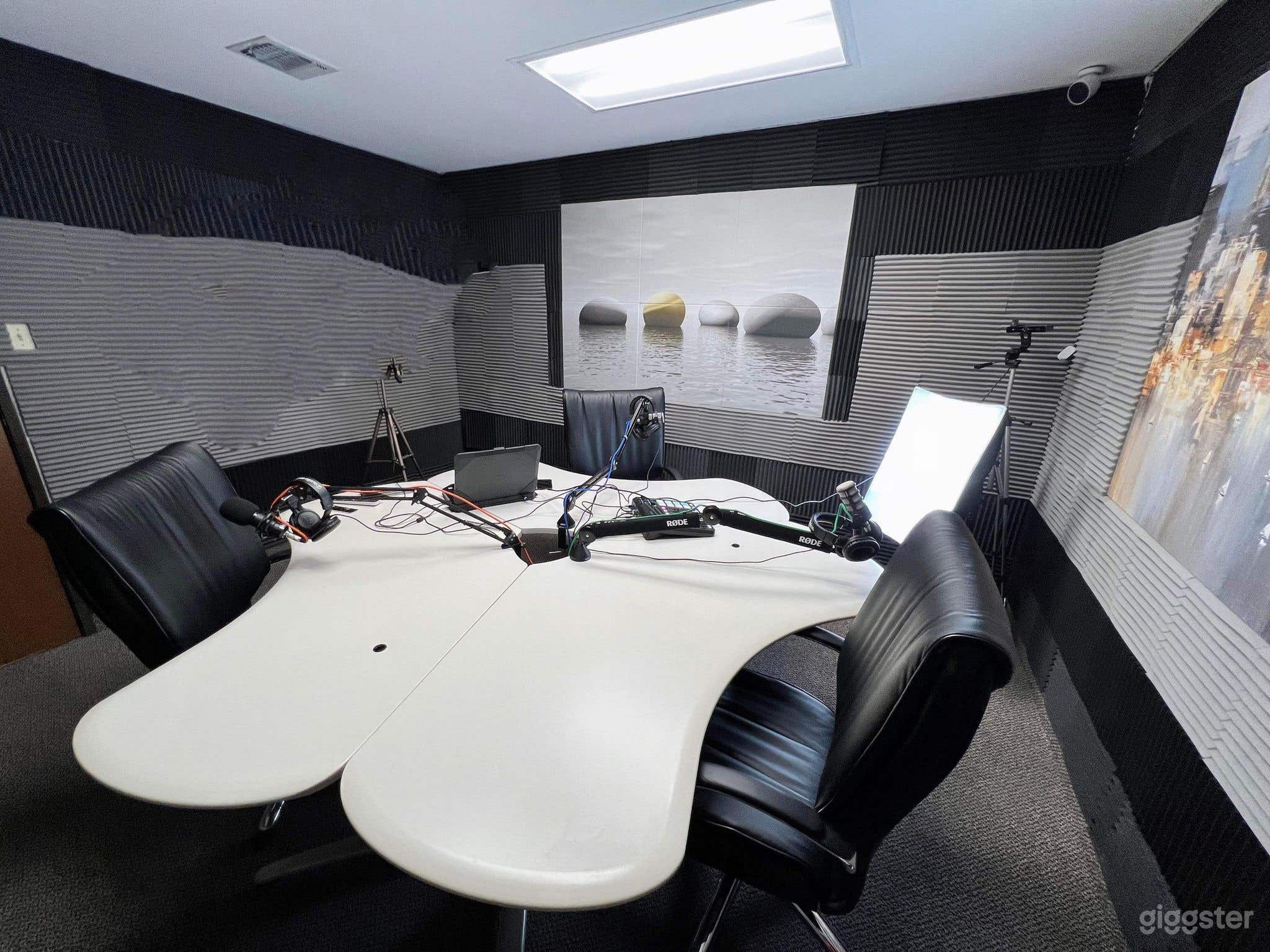 Our Podcast Recording Studio 1 is ideal for audio! We have acoustics panels and mass loaded vinyl barrier underneath to ensure proper sound proofing.  