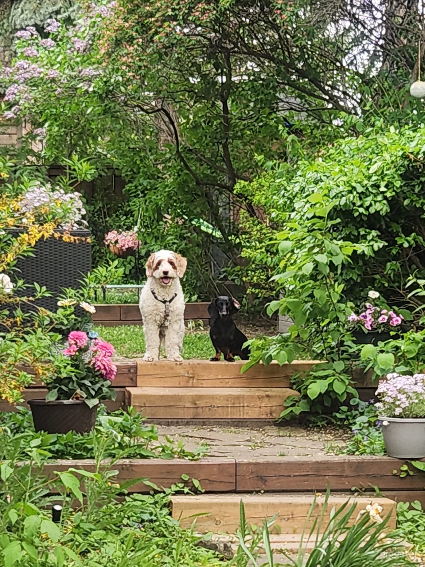 High Park Gardens Photo 2