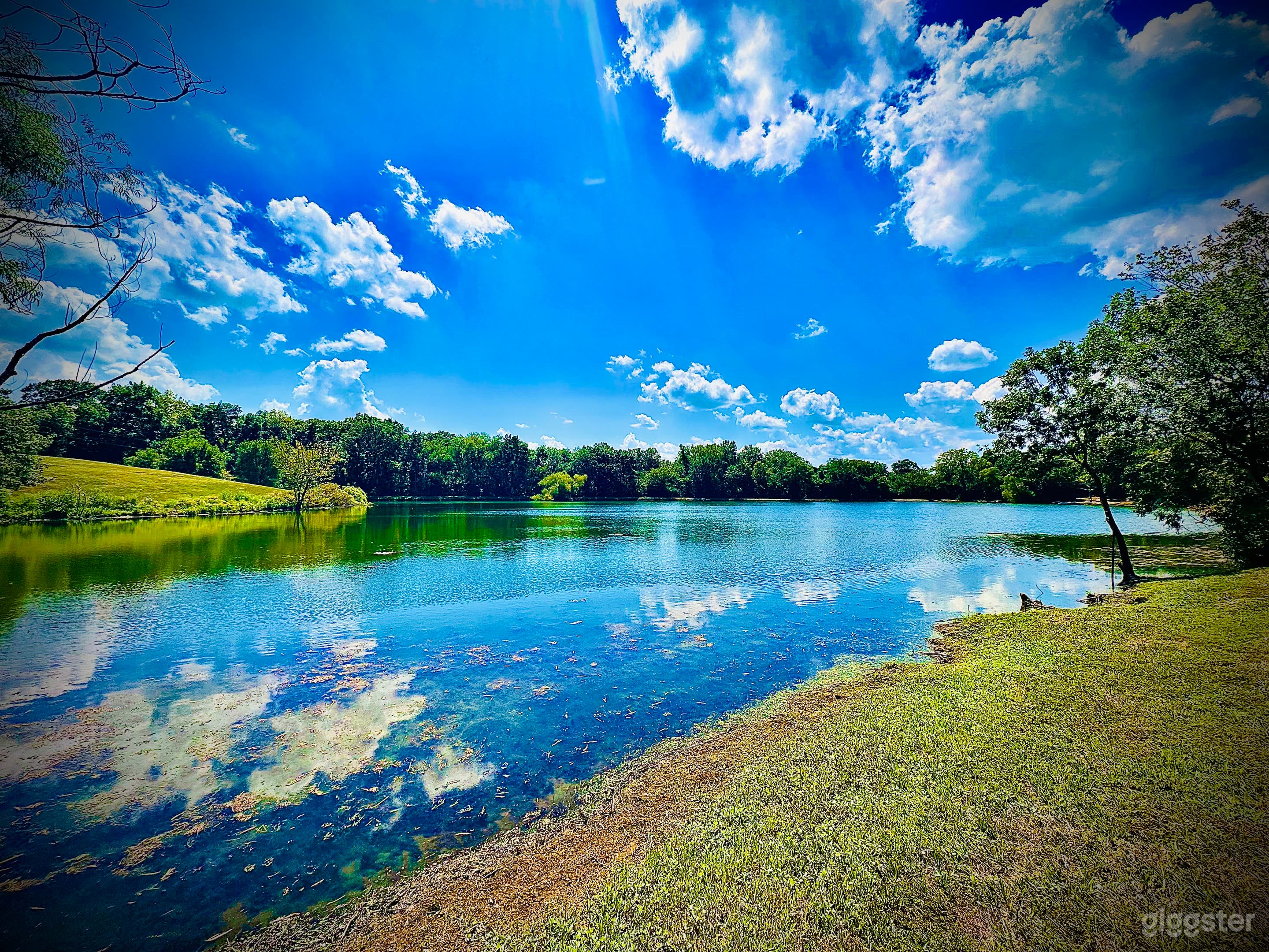 Cabin in the woods overlooking a 7 acre pond Photo 4