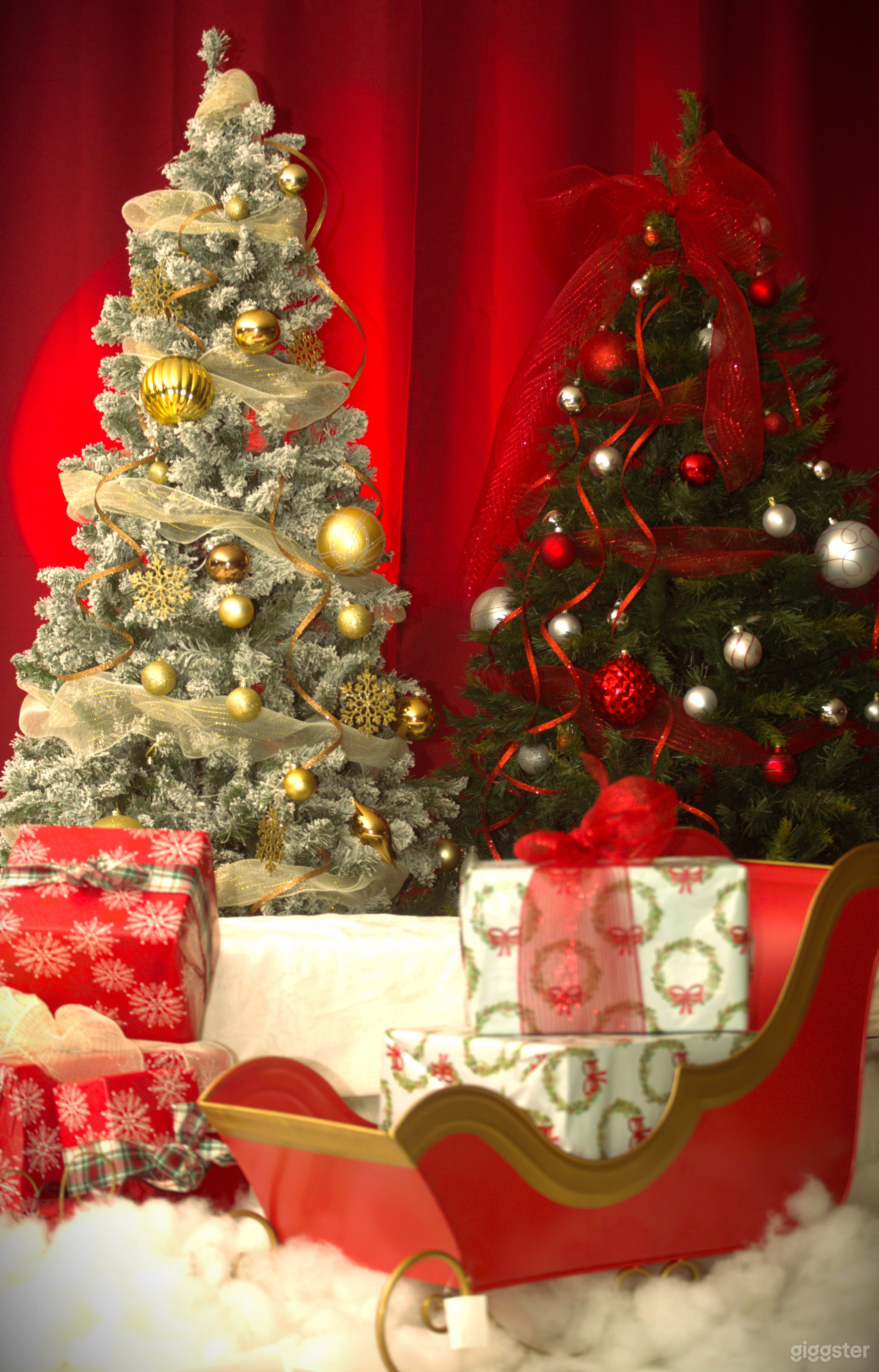 Christmas set for your holiday portrait Photo 1