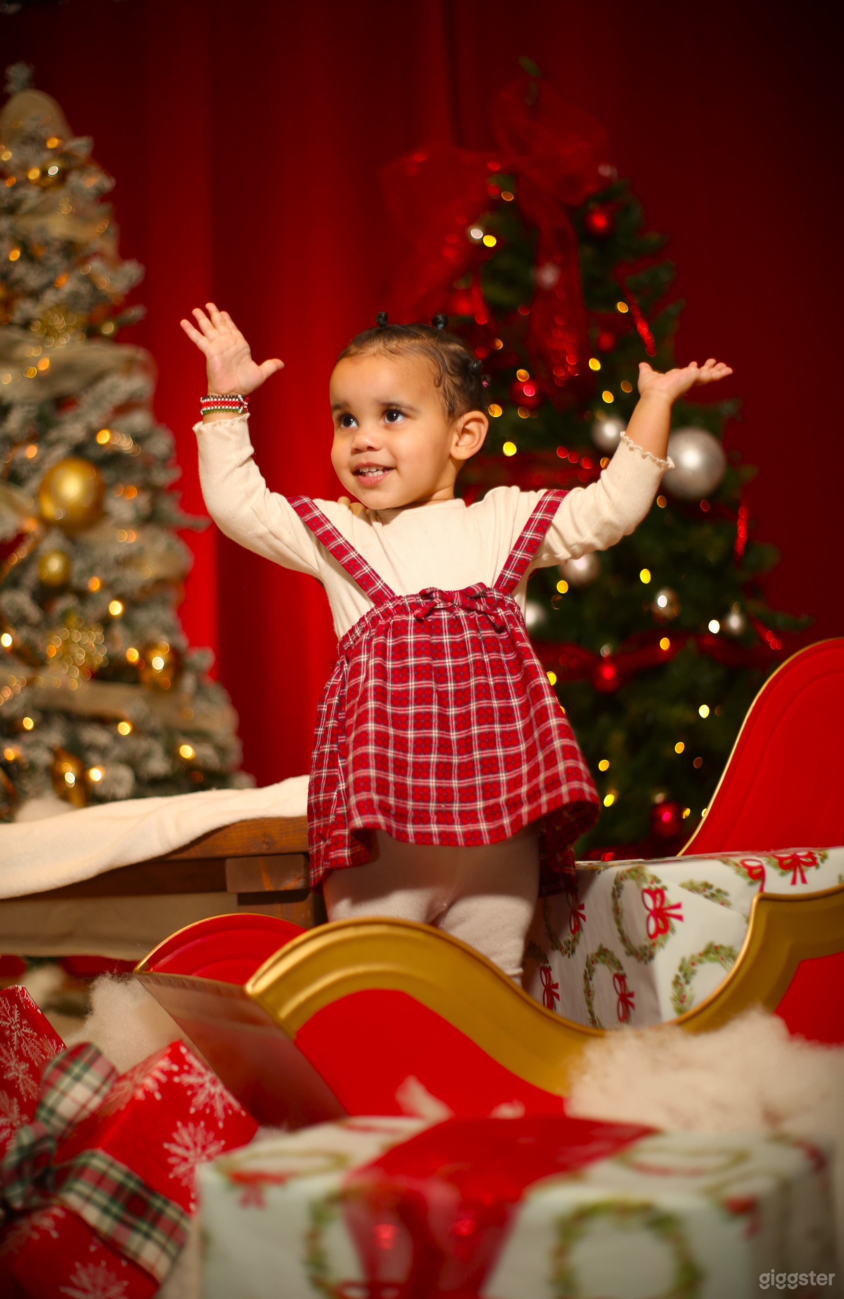 Christmas set for your holiday portrait Photo 4