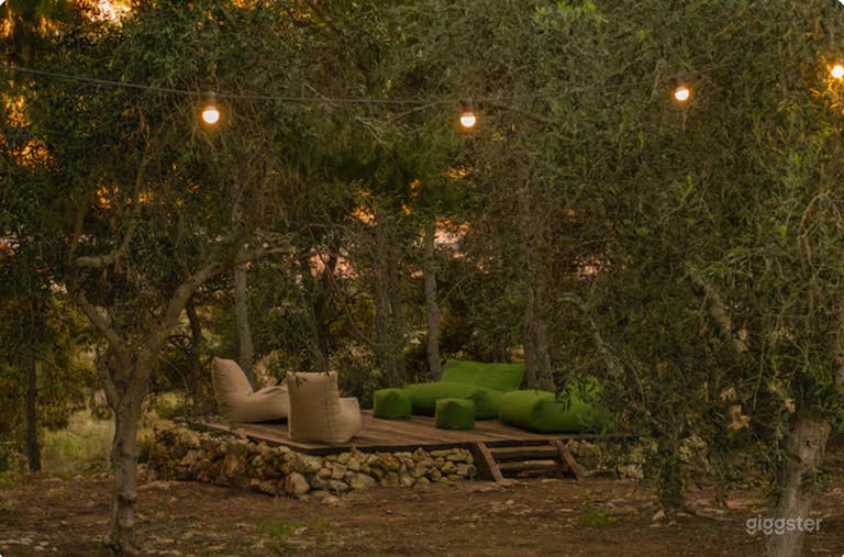 An Expansive Open-Air Venue 