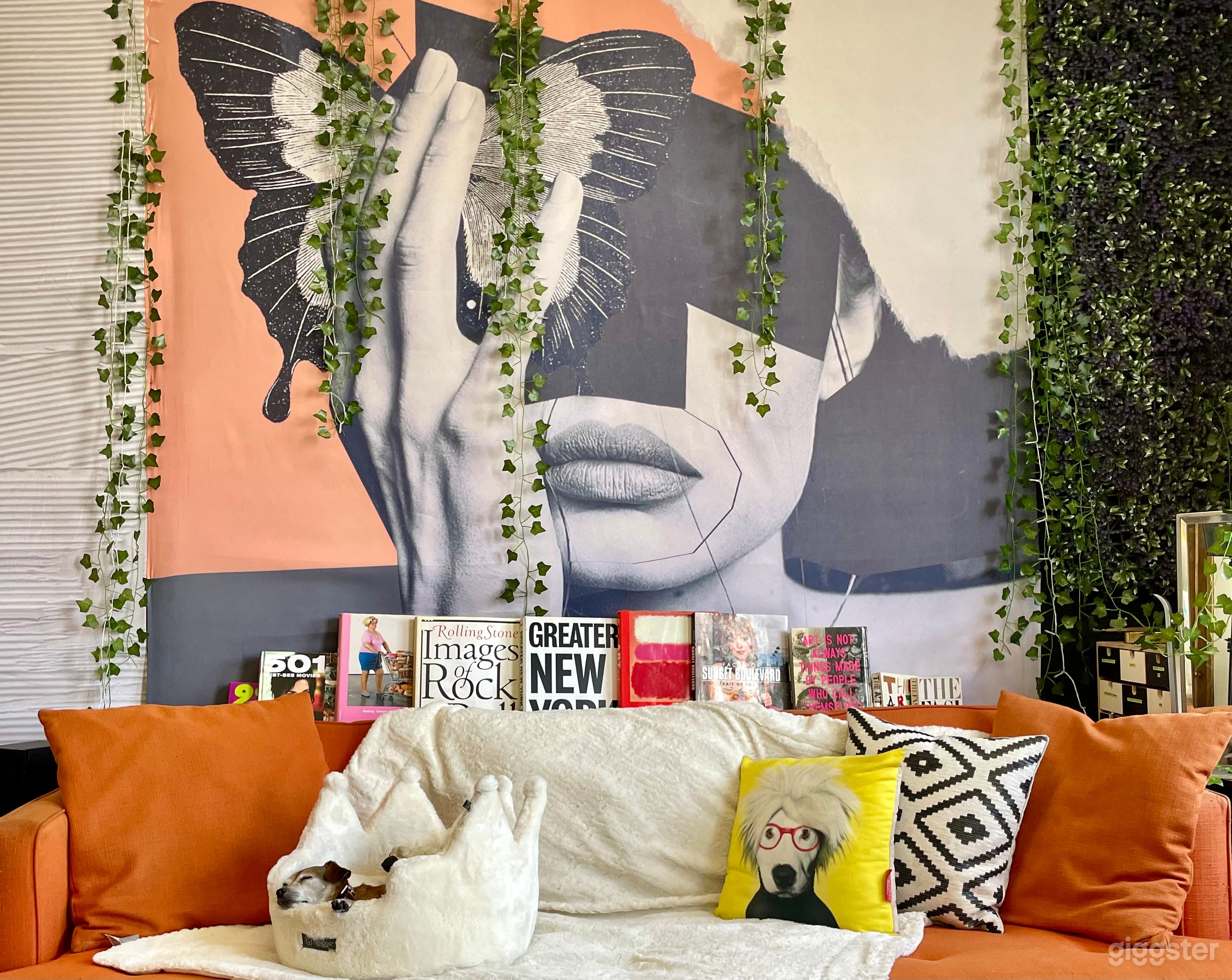 Old Hollywood Beautiful Photo and Film Studio Photo 1