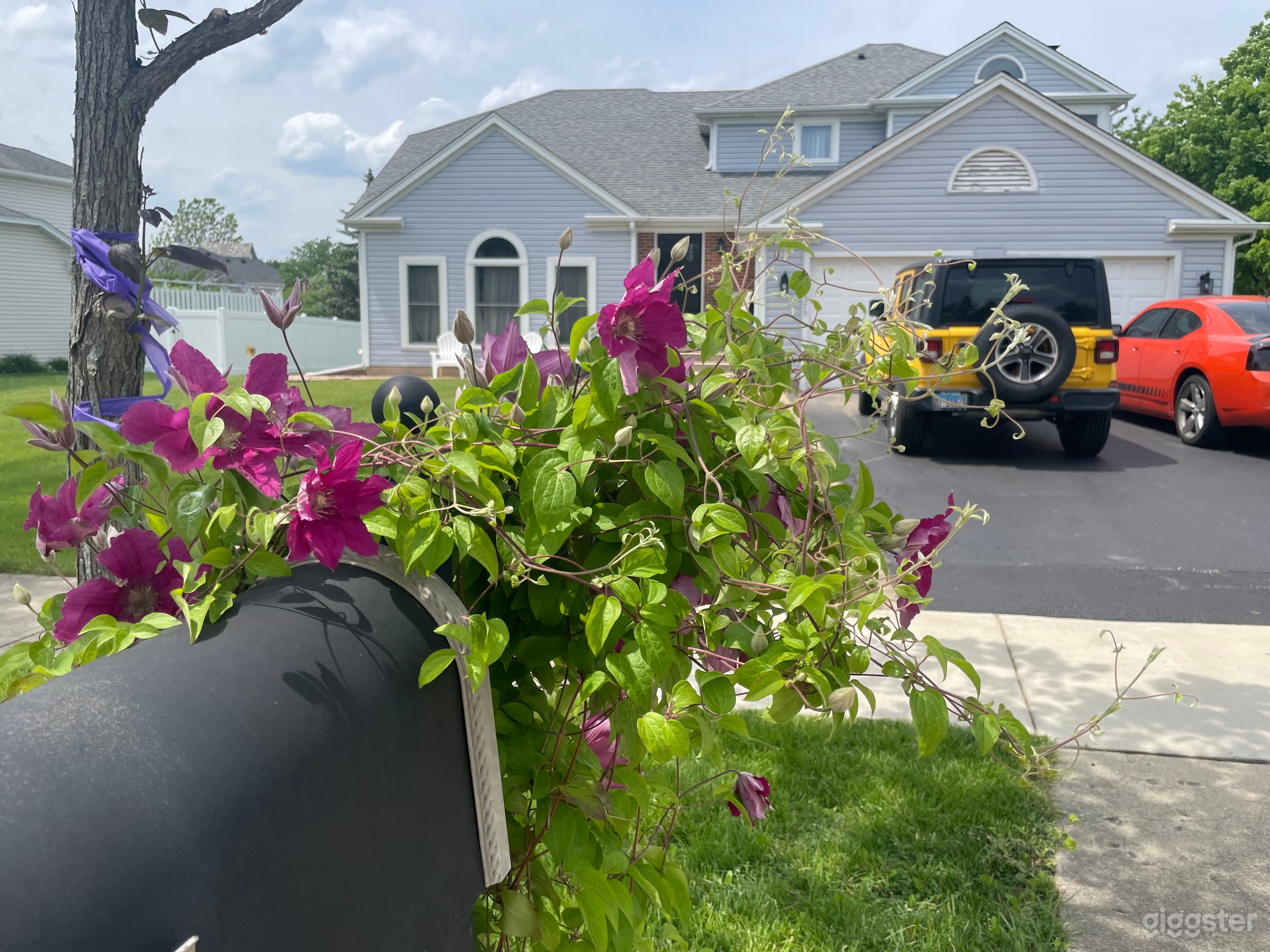 Chicago Suburban Oasis Photo 1