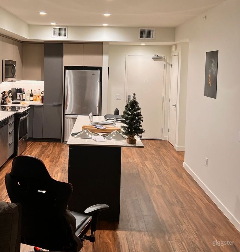 Cool Apartment for Film and Production Photo 1