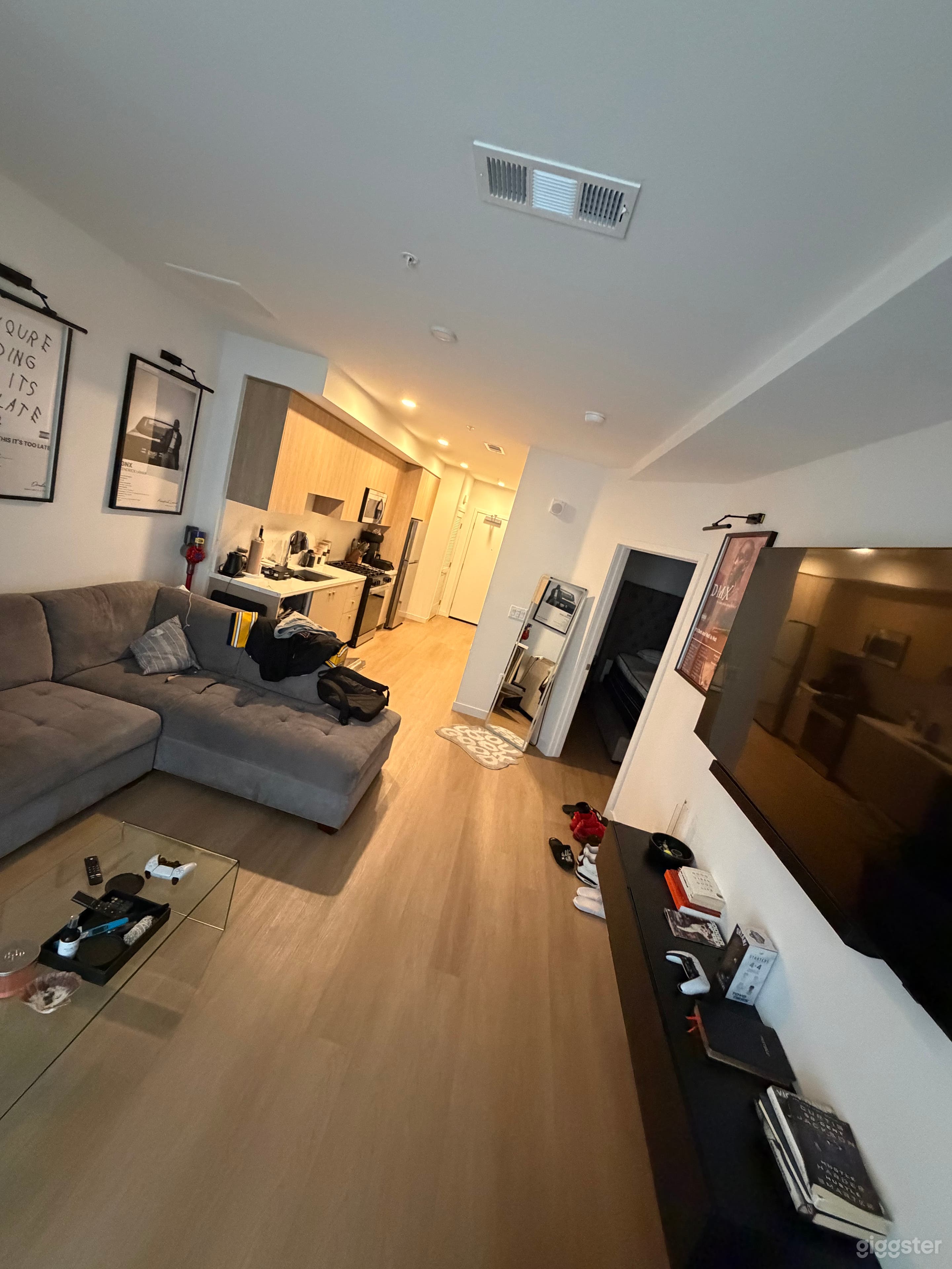 Cool Apartment for Film and Production Photo 4
