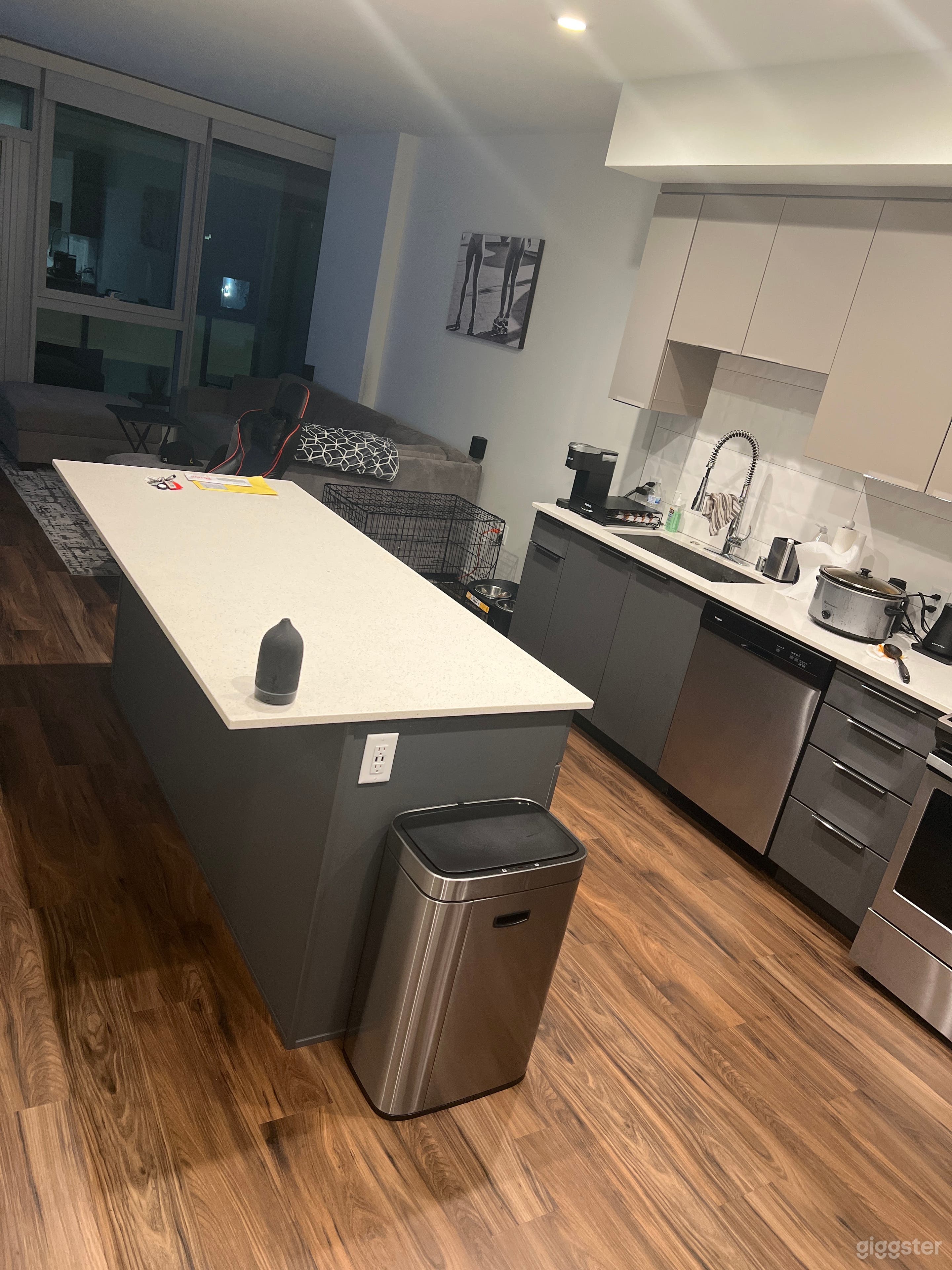 Cool Apartment for Film and Production Photo 1