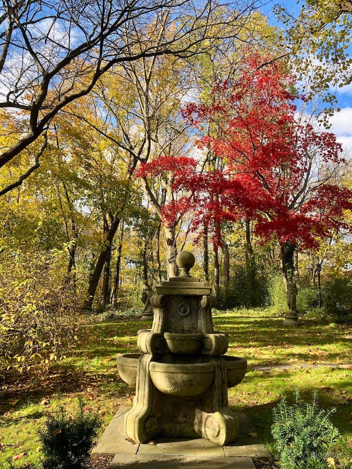 Park-Like Backyard Setting Photo 4