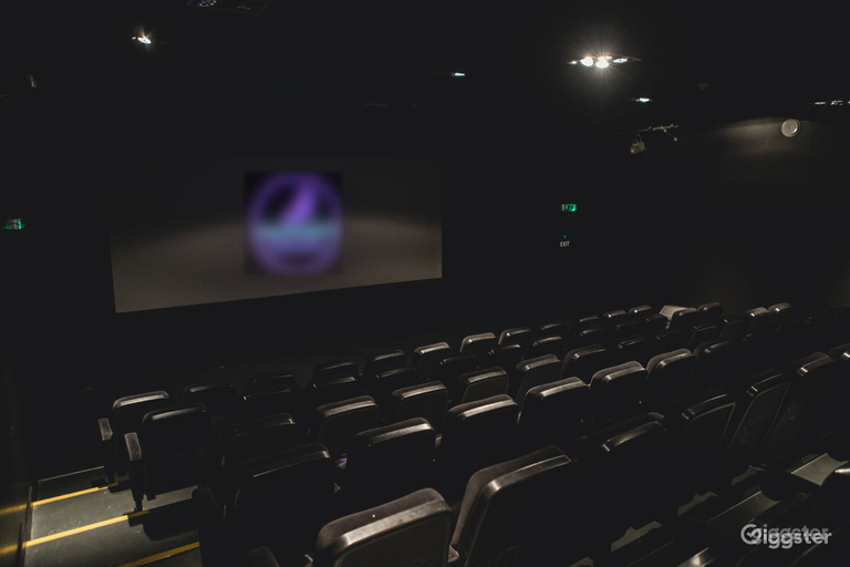  Écran de cinéma 1, 90 places 