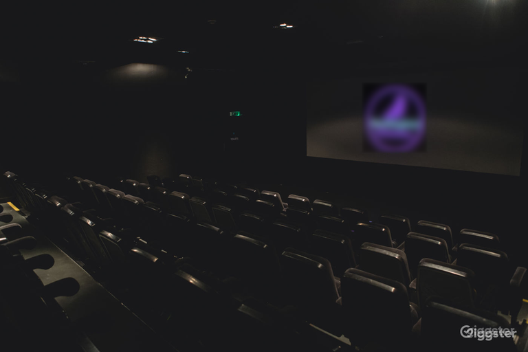  Cinema Screen 1 Seats 95 People 