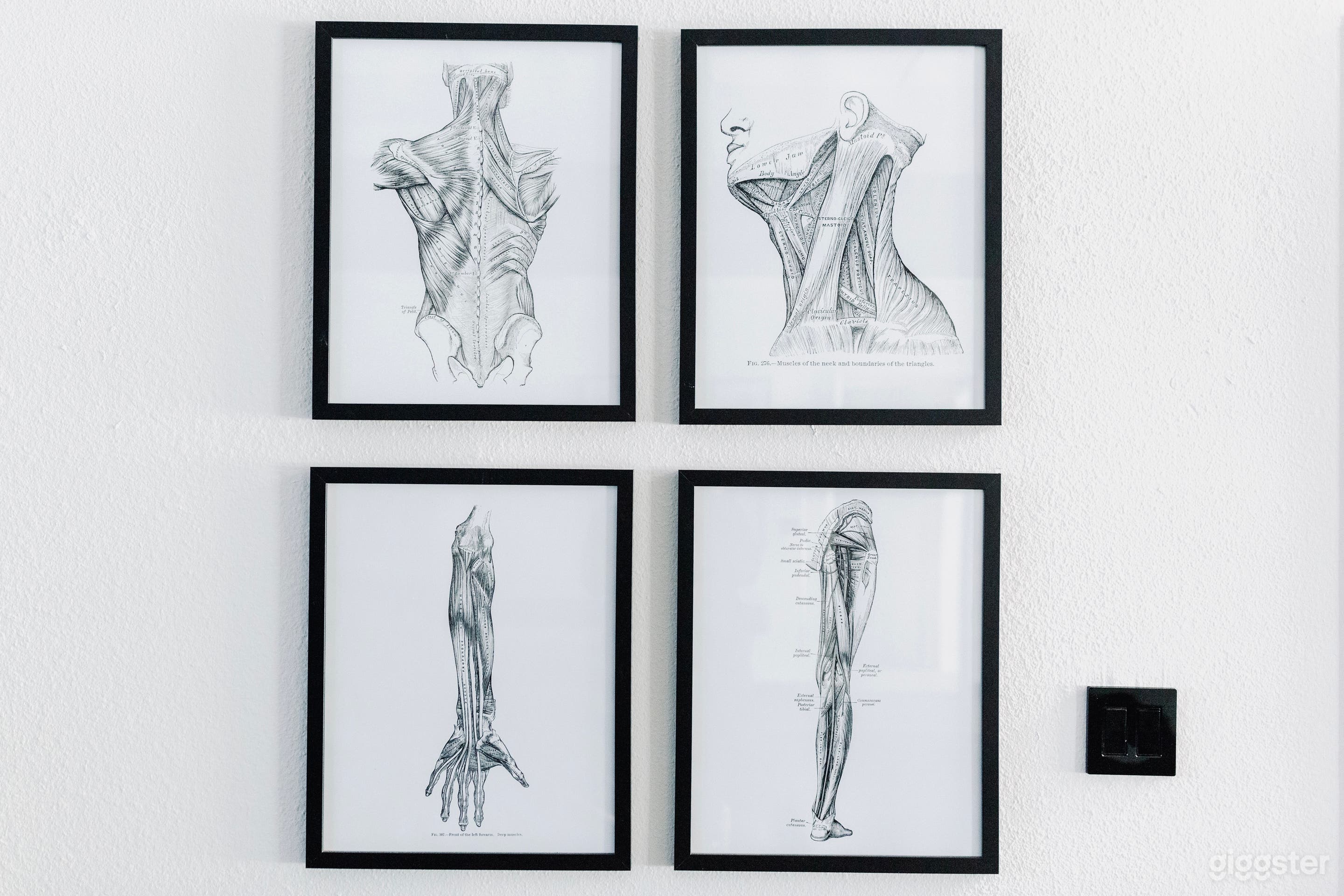 Spacious and Modern fitness studio Photo 4