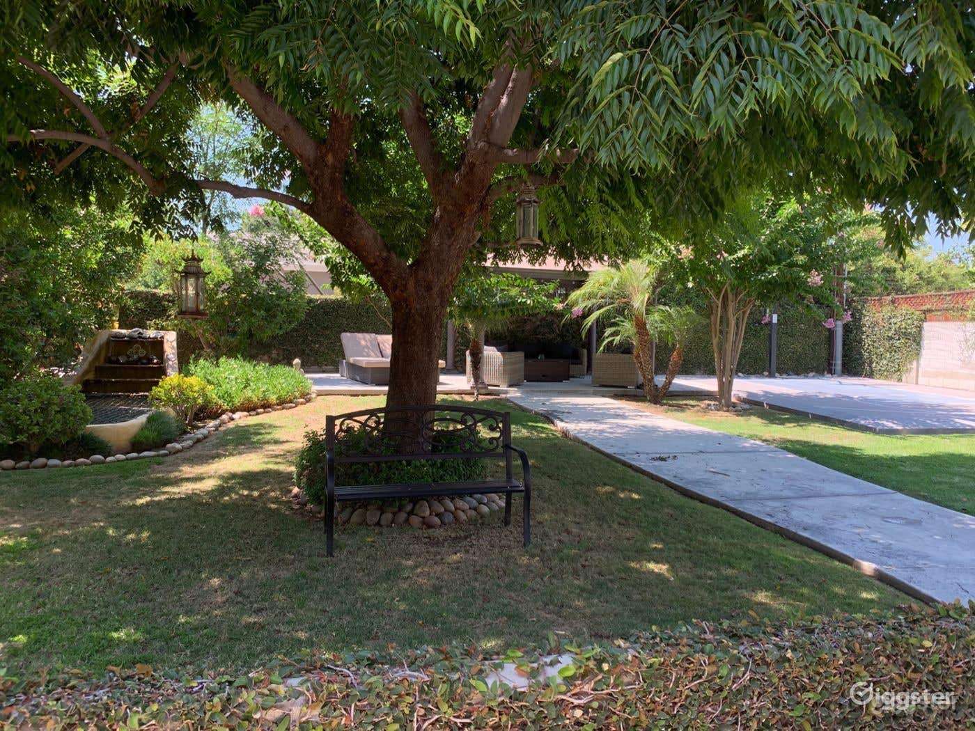 Back Yard Basketball Half Court in Lush Green Yard Photo 4