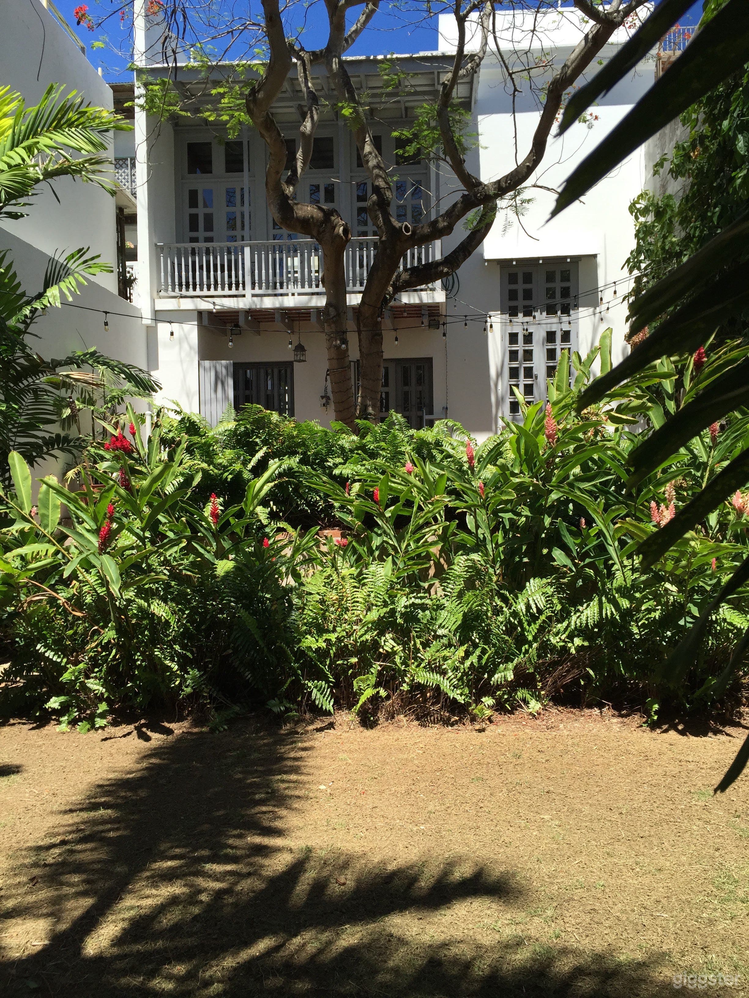 Backyard from bottom