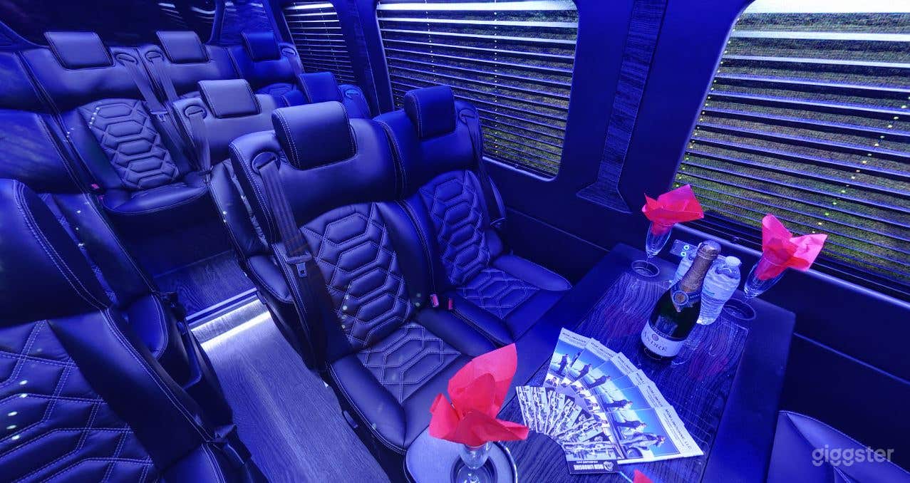 Mercedes Sprinter Executive 2016 Photo 4