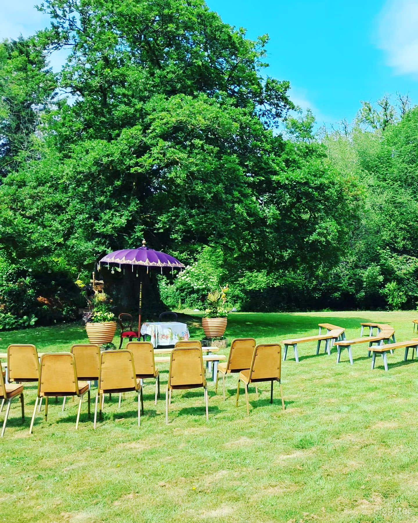 Bright and Spacious Outdoor Lawn and Garden Photo 2