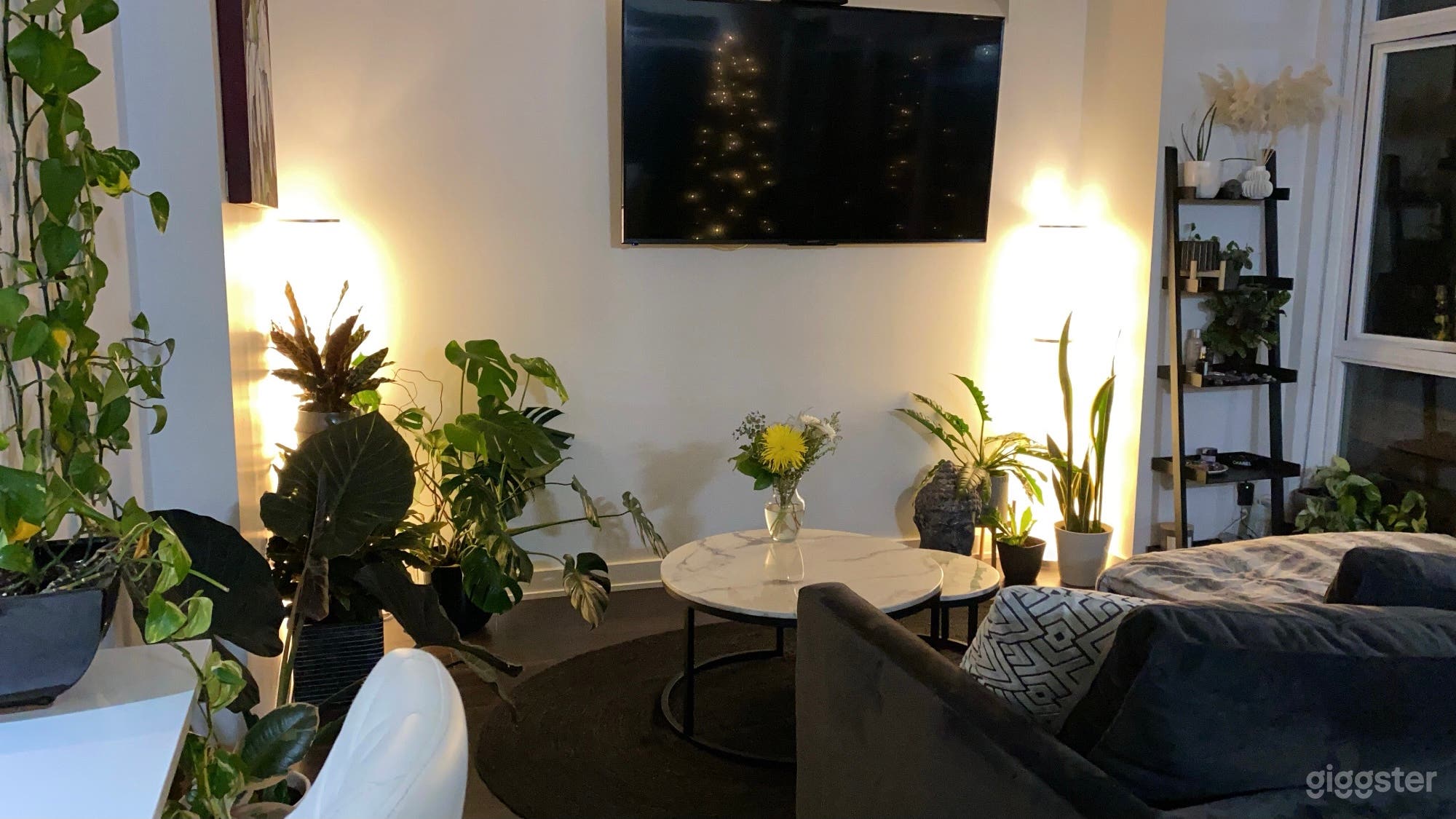 Bright zen photography space with a view! Photo 1