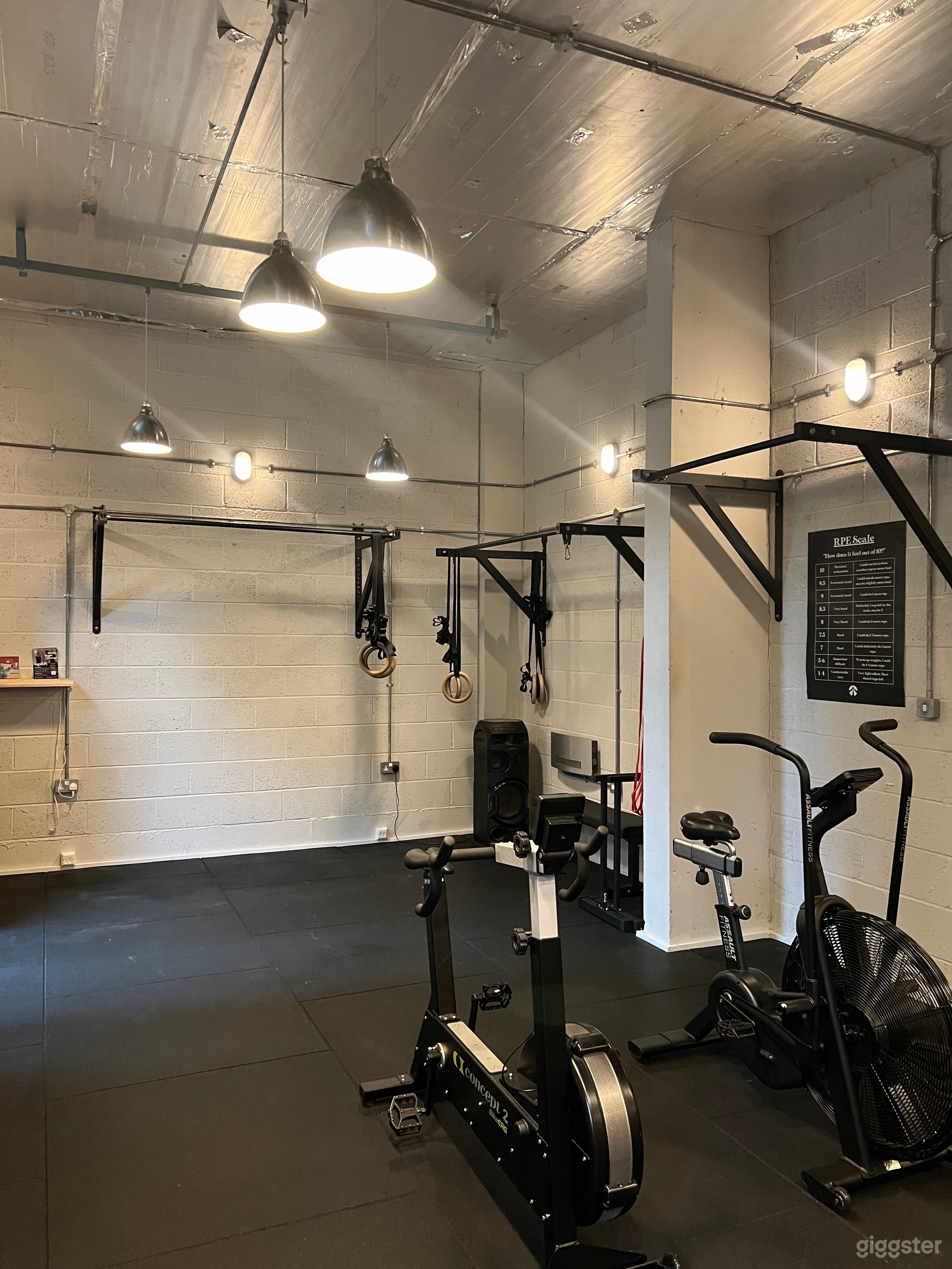 Premium Strength Training Gym/Studio in Wandsworth Photo 3
