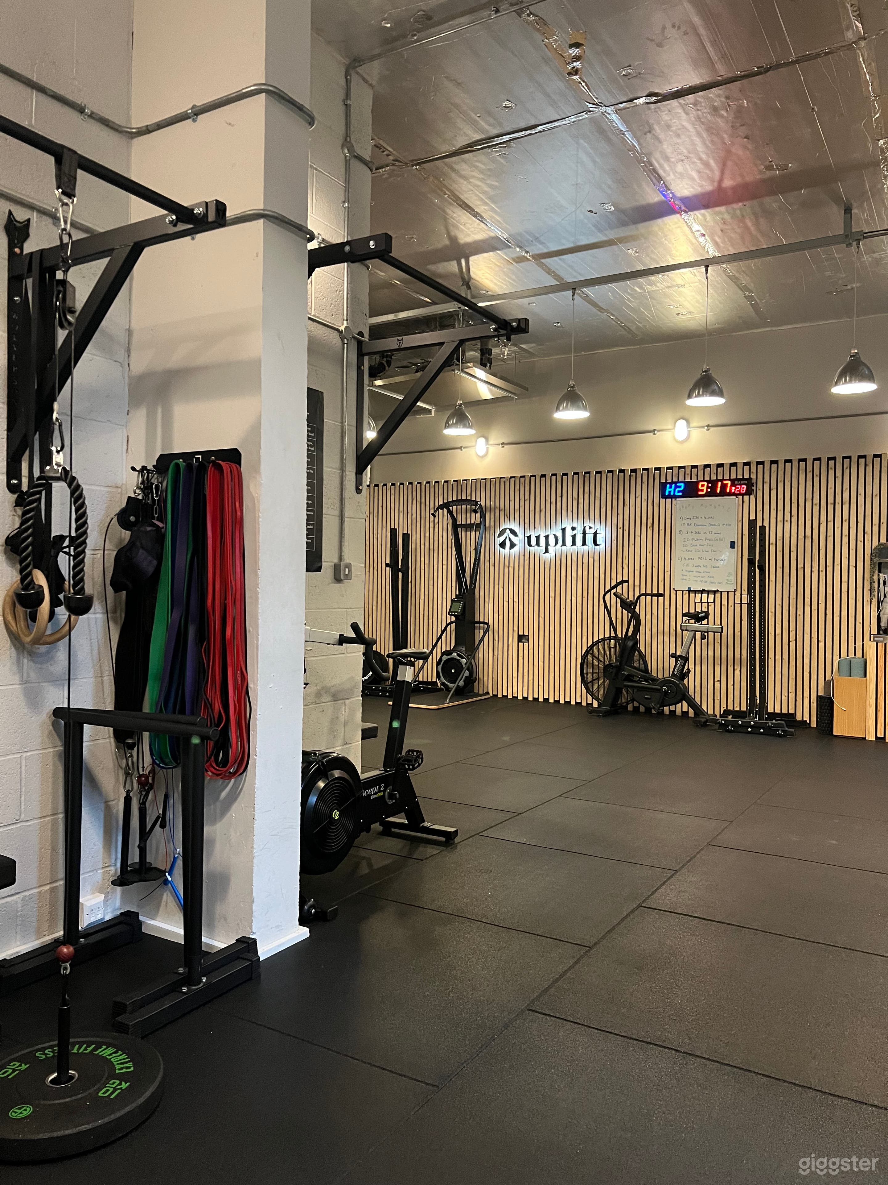 Premium Strength Training Gym/Studio in Wandsworth Photo 2